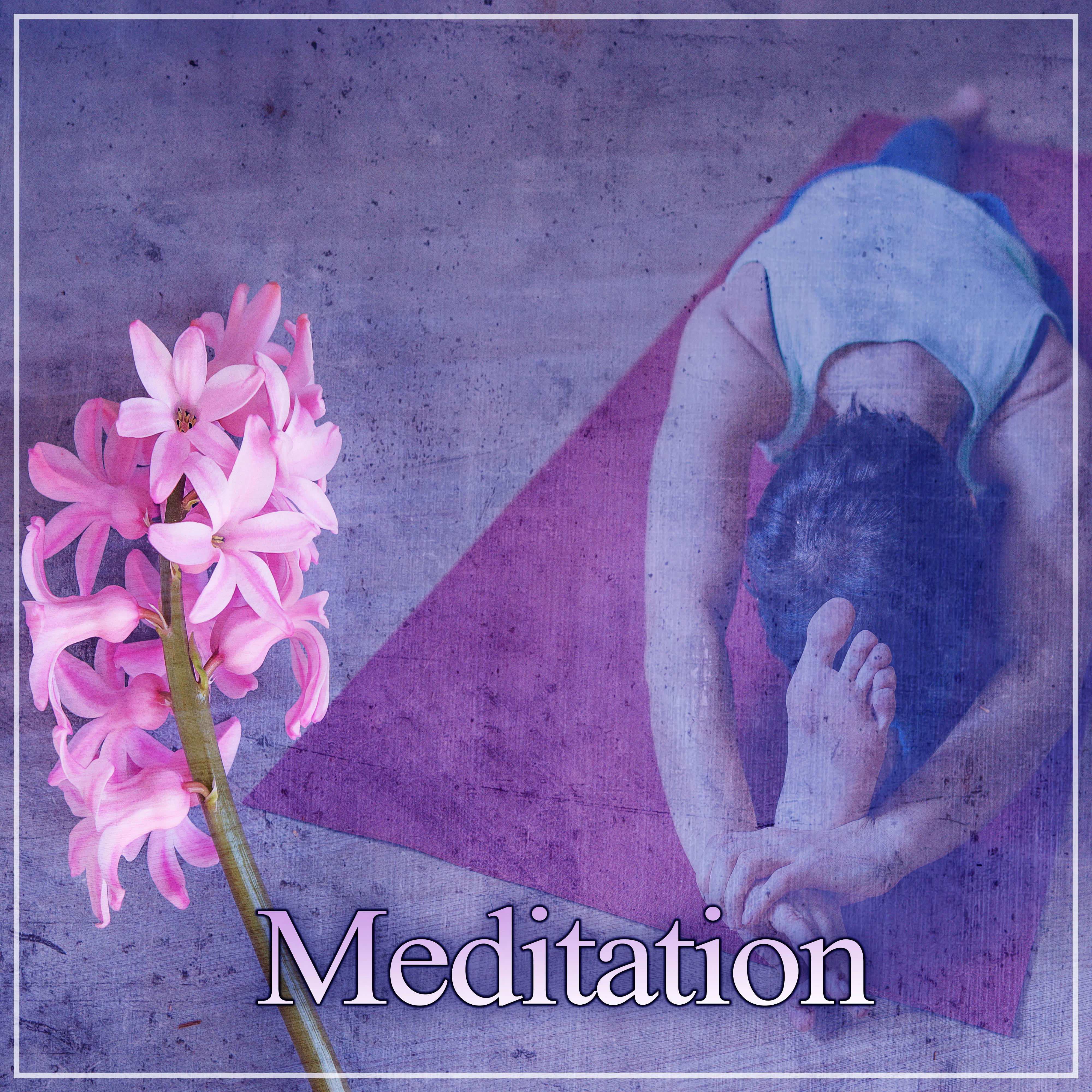 Meditation – Nature Sounds, Chakra Meditation, Yoga, Deep Sleep, Pure Relaxing Therapy, Inner Silence