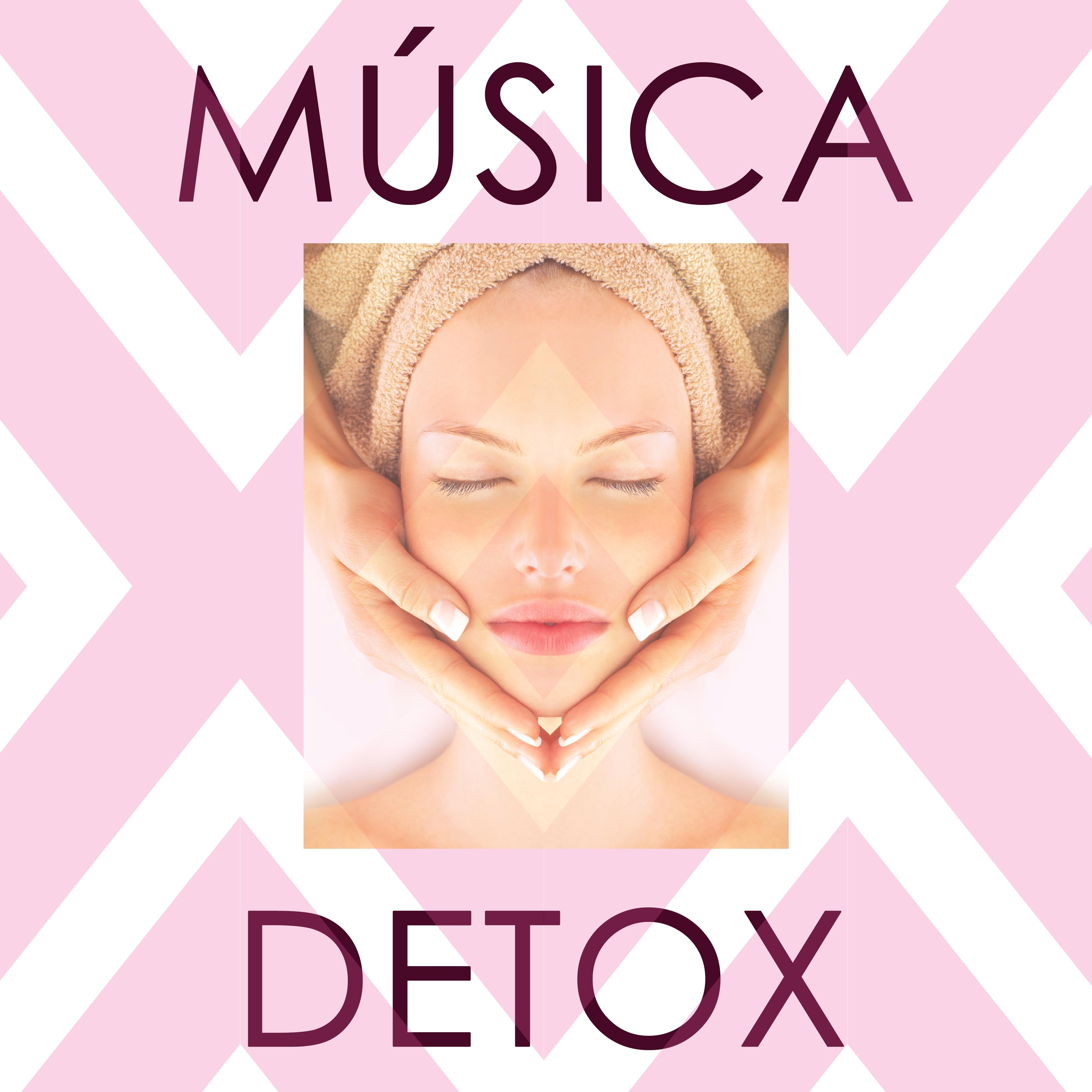 Música Detox - Música Tranquila Relajante para Crear Tu Espacio del Cuidado Personal para el Bienestar y la Paz Interior
