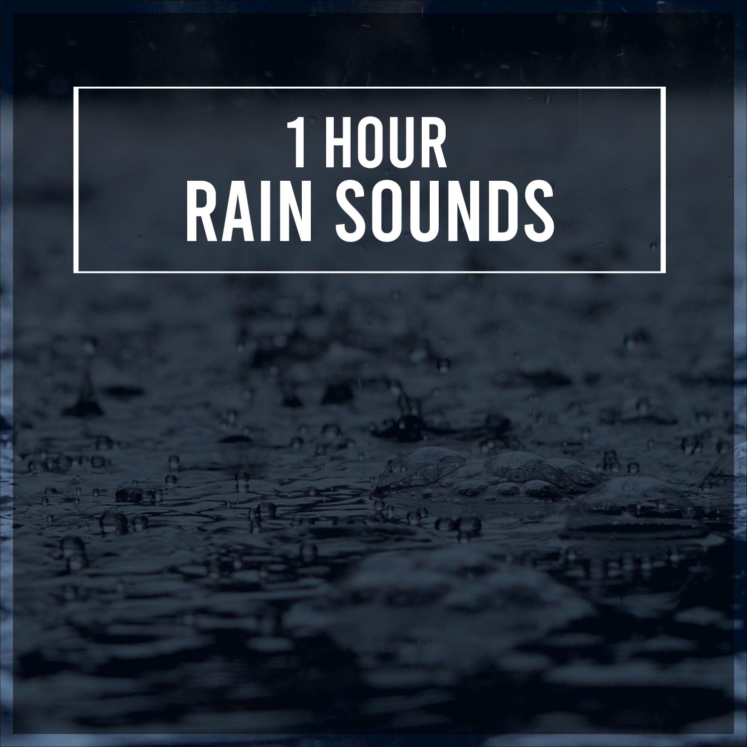 1 Hour Rain Sounds - Loopable, Natural Calming Noises to Soothe the Mind