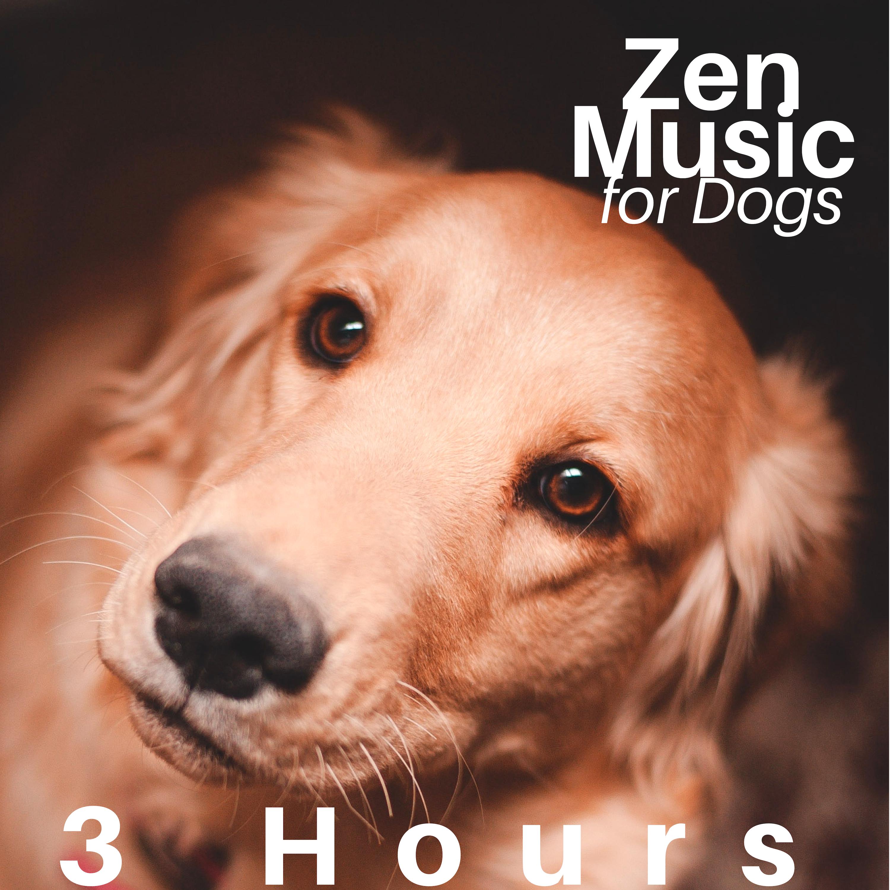 3 Hours of Zen Music for Dogs