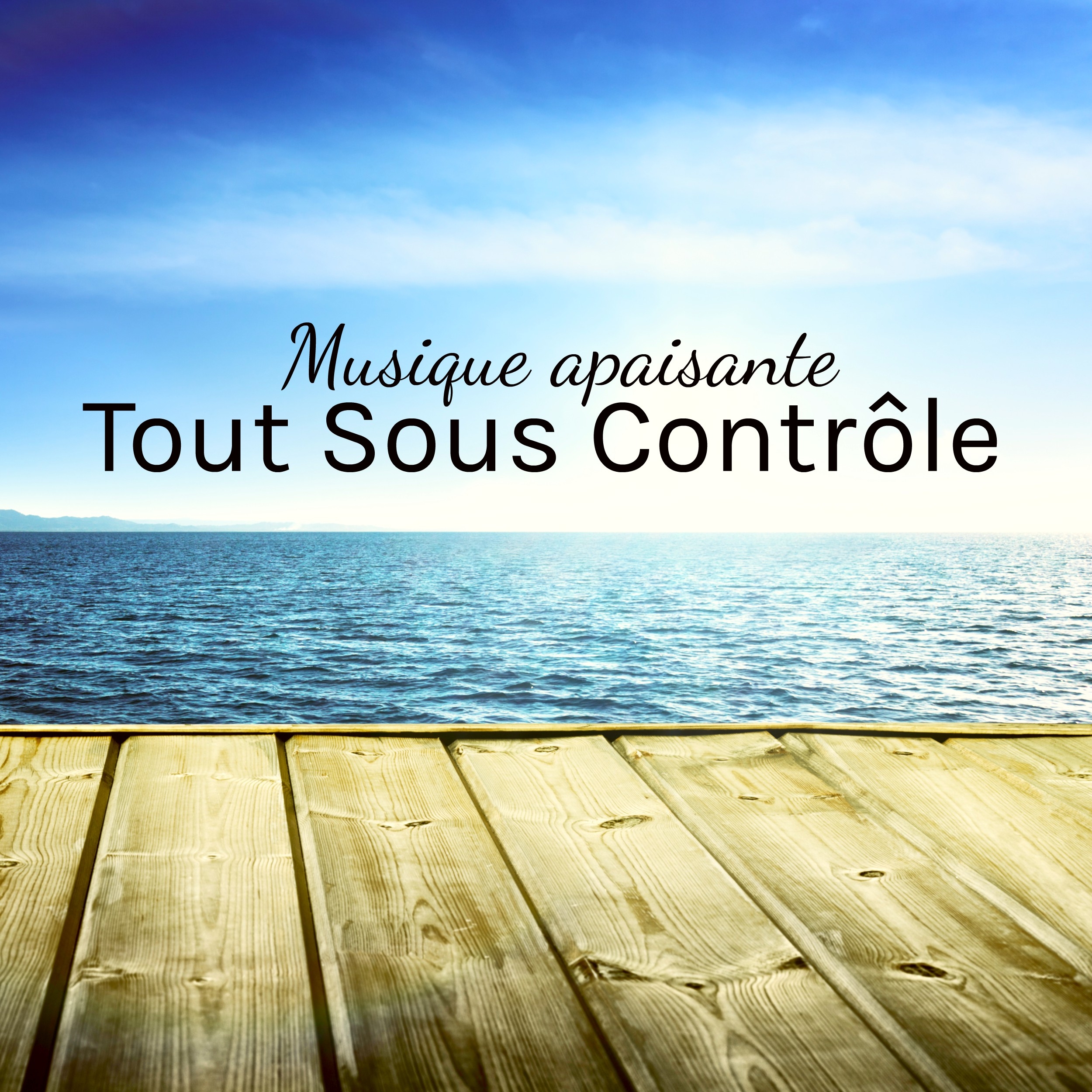 Tout Sous Contrôle - Musique apaisante pour auto-hypnose bienfaits de la méditation résolution de problème avec sons relaxants instrumetaux