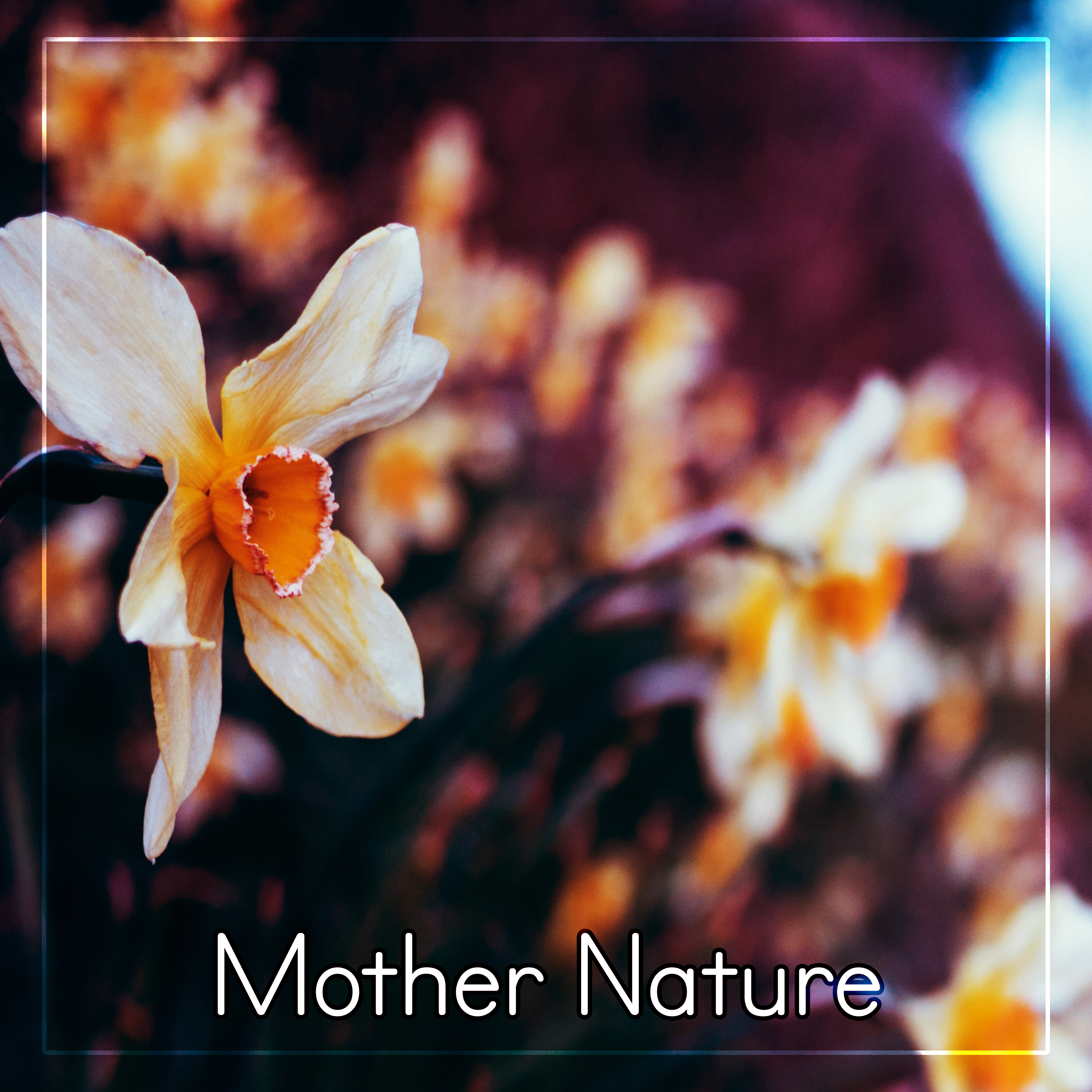 Mother Nature - Nature Sounds to Relax, Relaxing New Age Music, Meditate with Nature