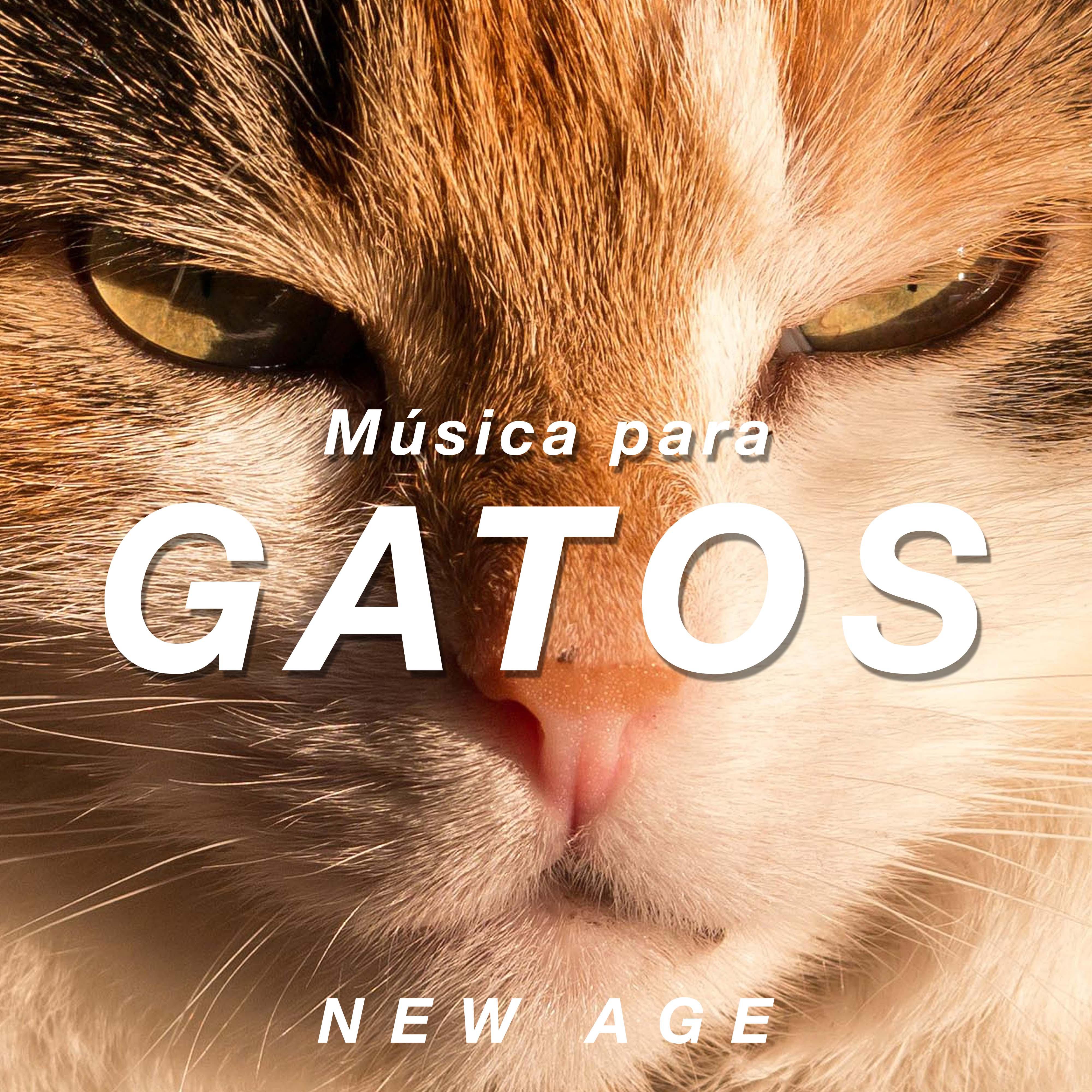 Música para Gatos - Sons Relajantes para Ayudar a Calmar a su Gato com Sons da Natureza