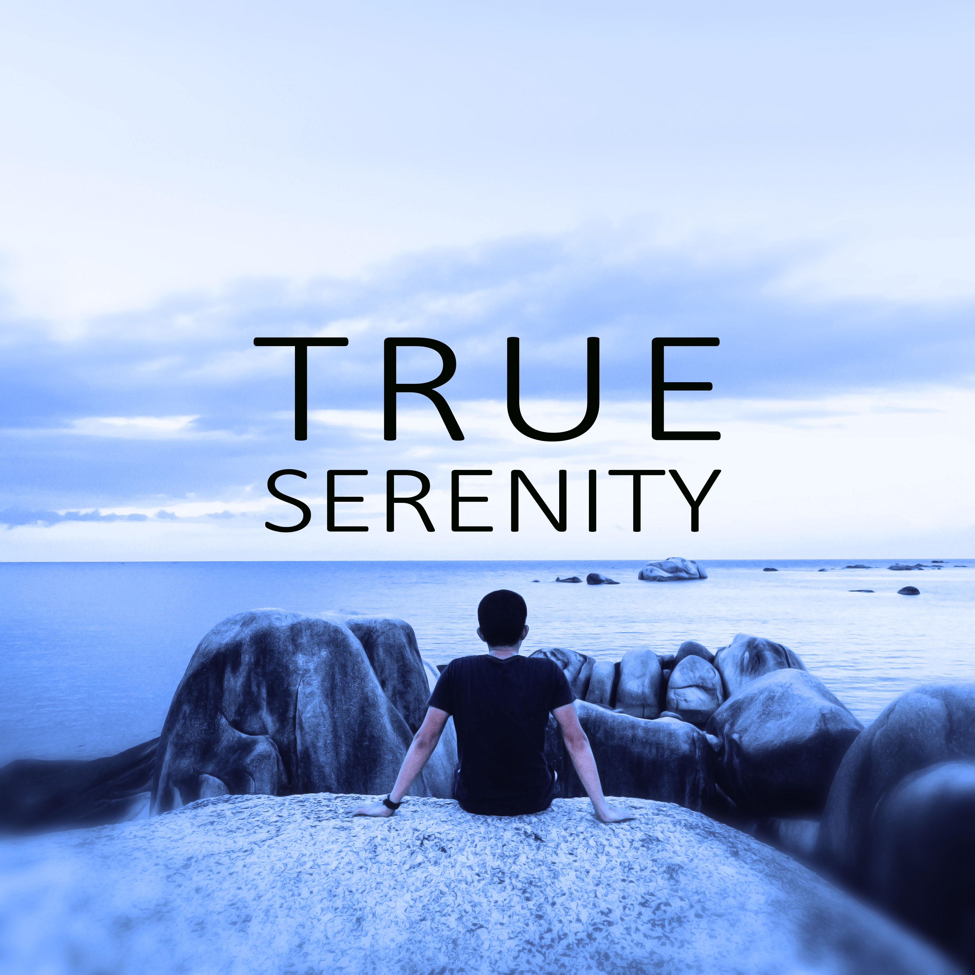 True Serenity - Free Mind, Rest, Time to Reading Books, Quiet Room, Deep Meditation, White Noise