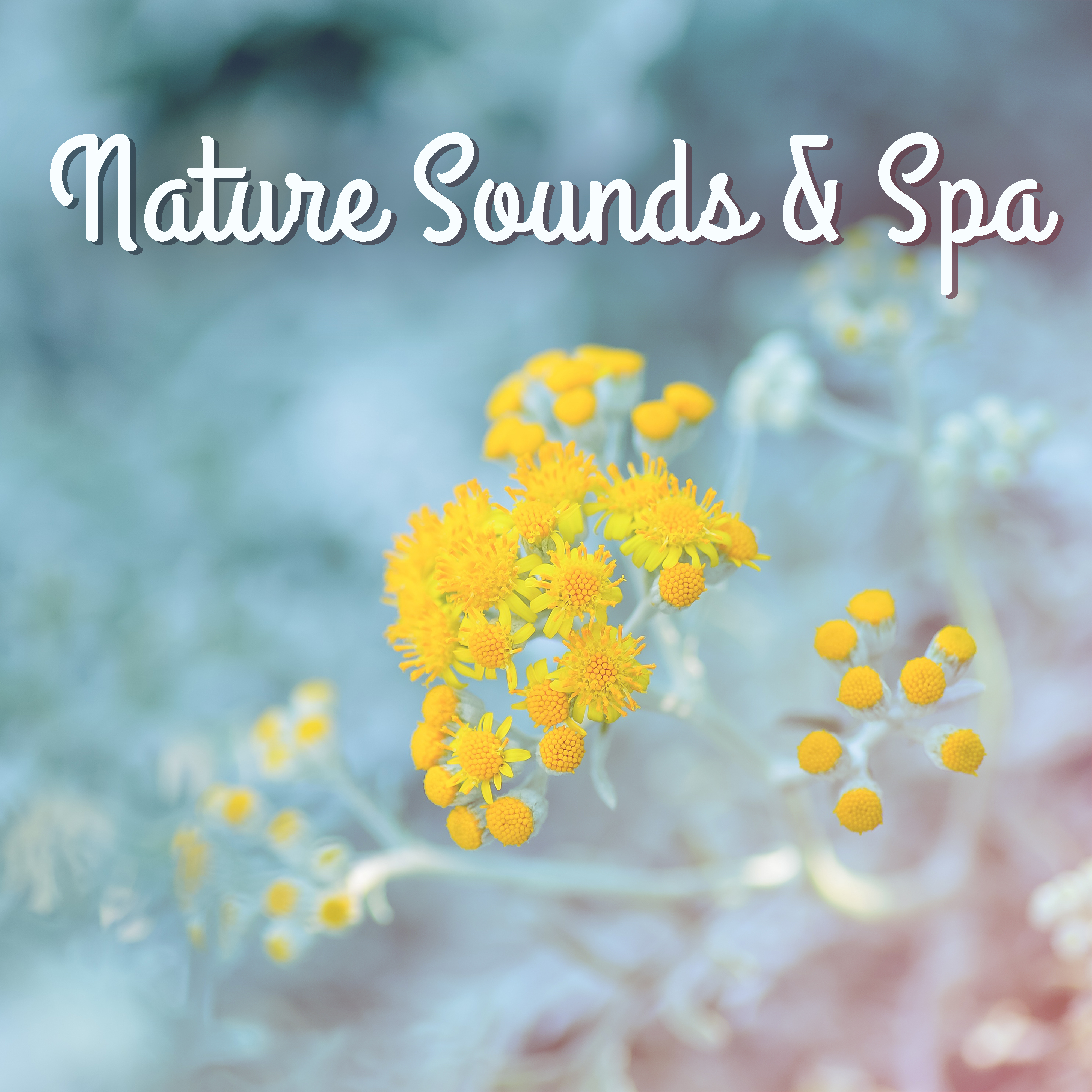 Nature Sounds & Spa – Relaxing Wellness, Anti Stress Music, Home Spa, Stress Relief, Deep Massage, Inner Healing