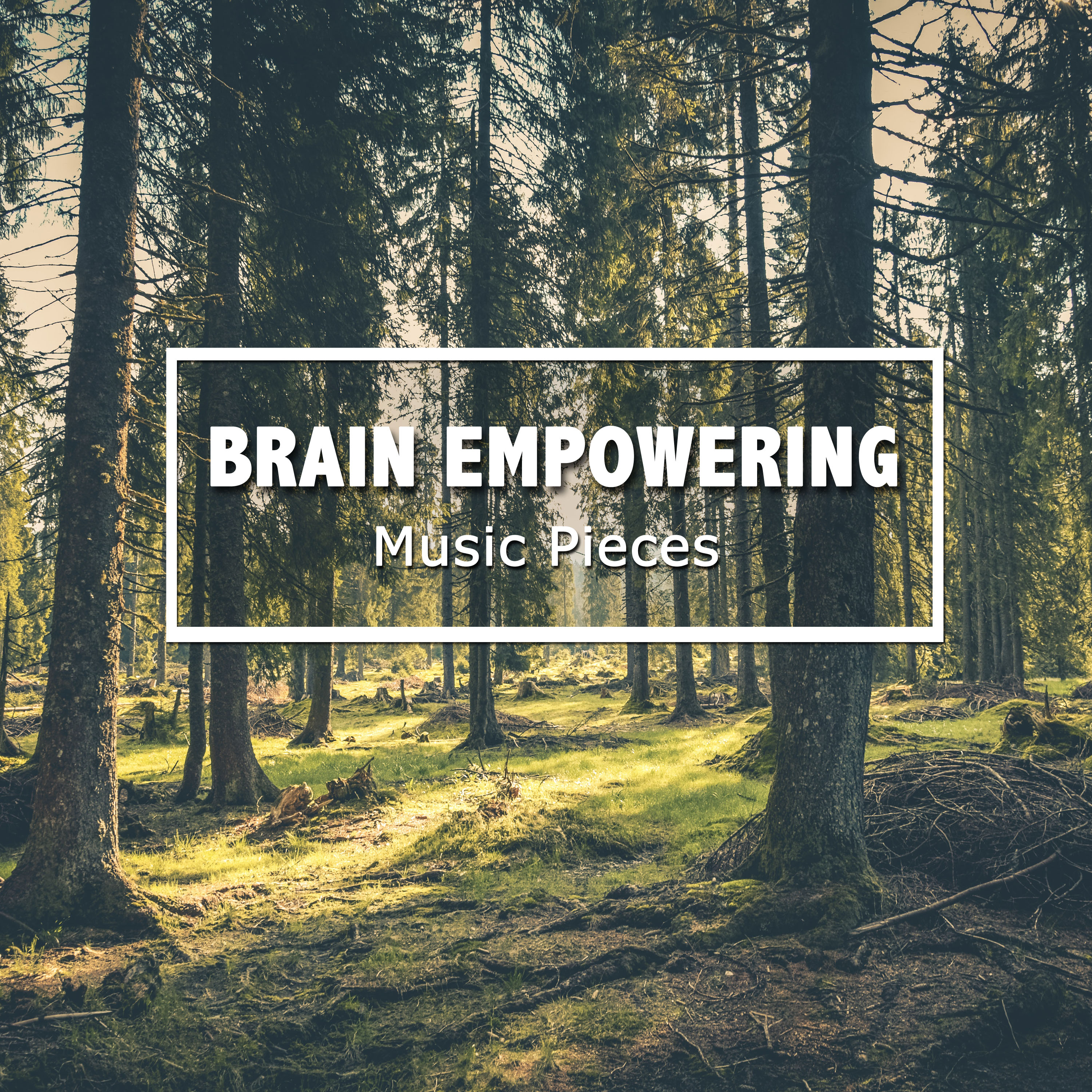 #12 Brain Empowering Music Pieces for Ultimate Spa Experience