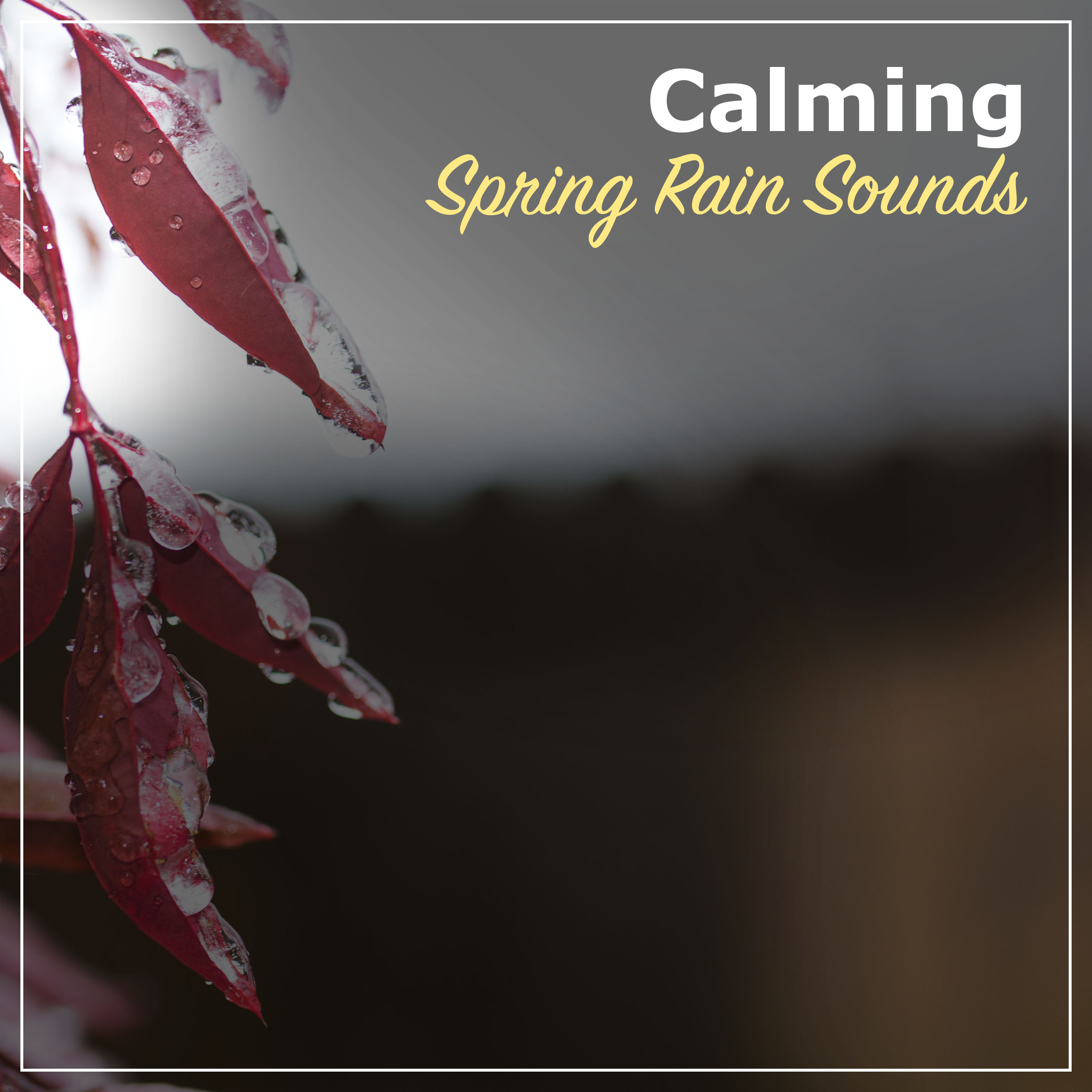 #21 Calming Spring Rain Sounds