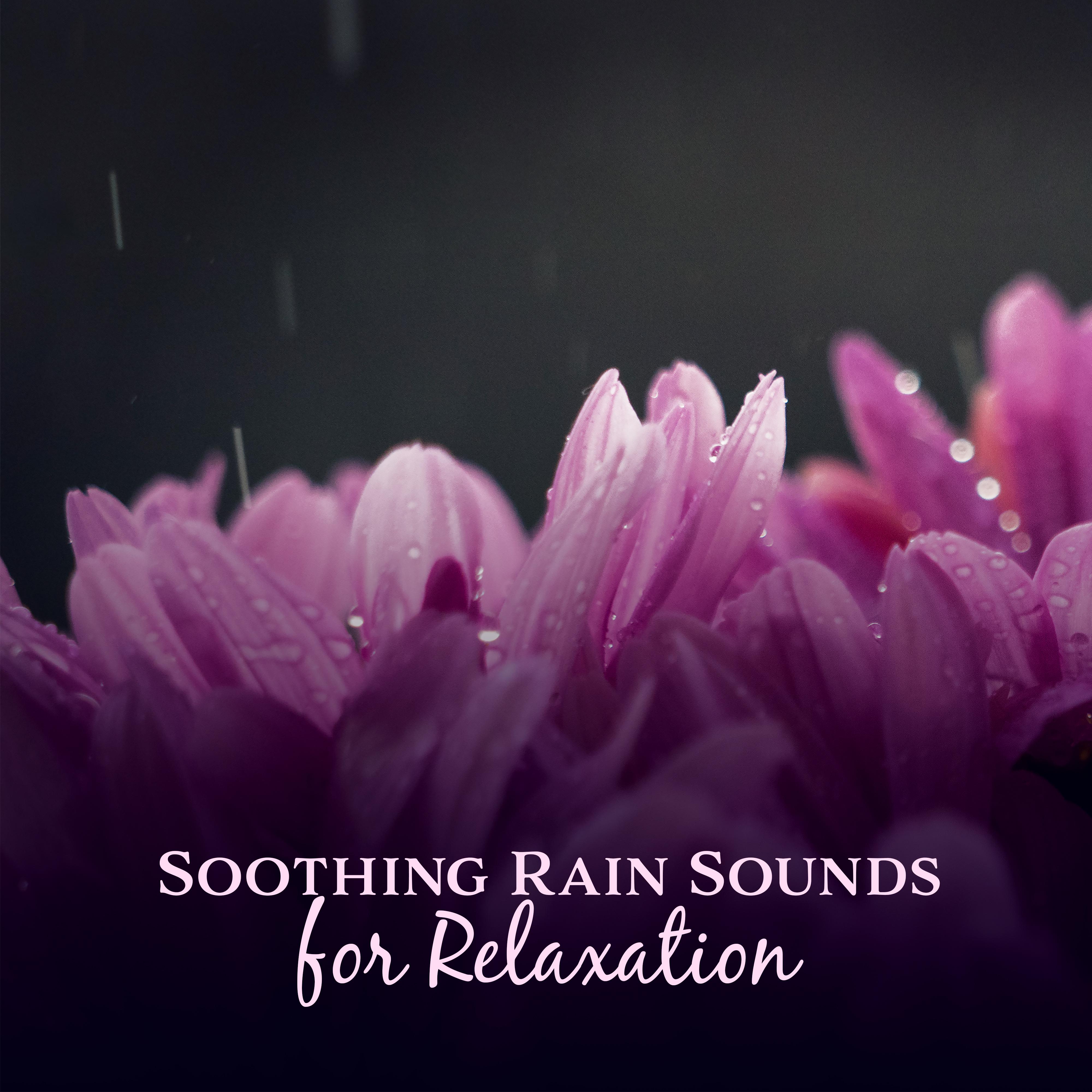 Soothing Rain Sounds for Relaxation – Nature Healing Sounds, Waves of Calmness, Mind Rest