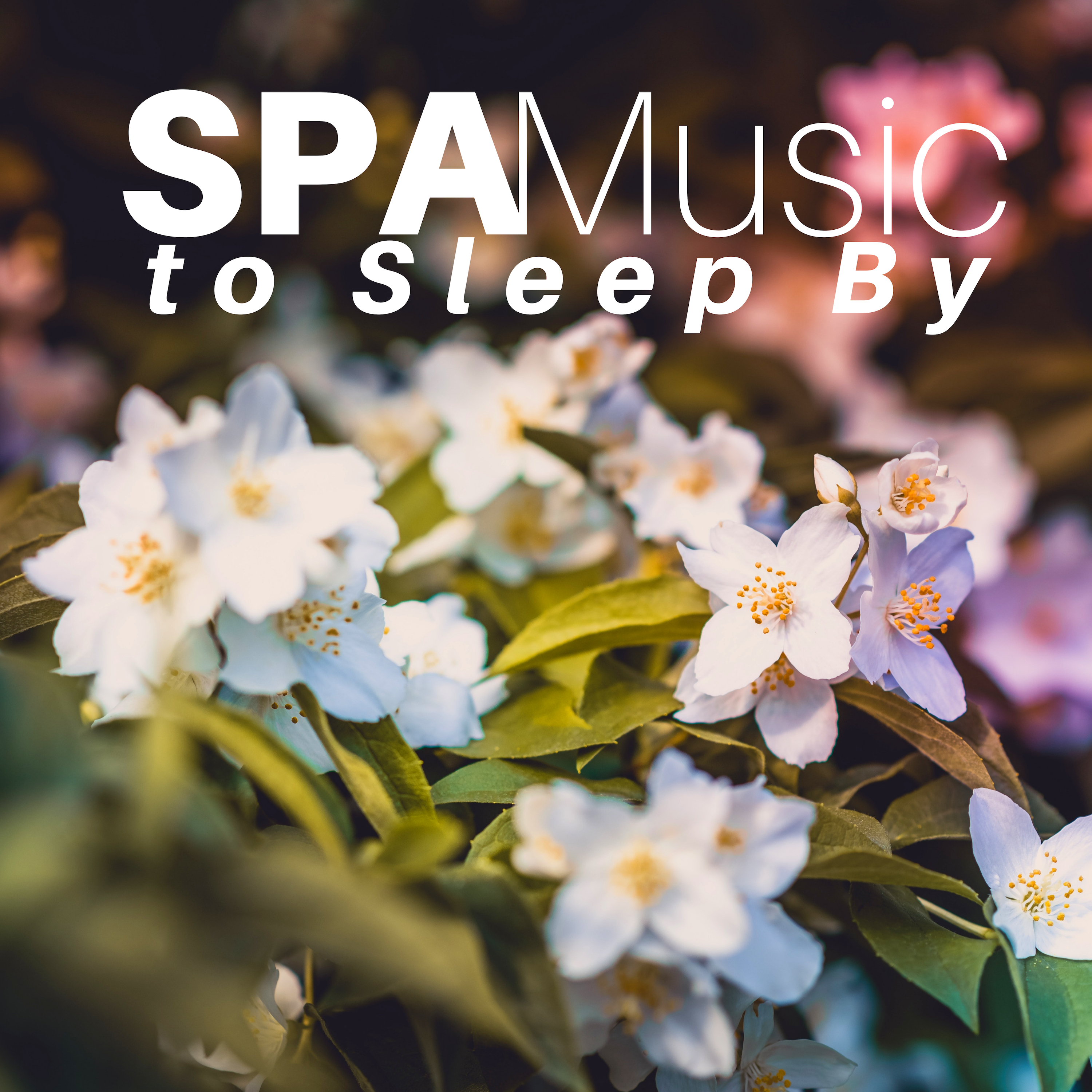 Spa Music to Sleep By