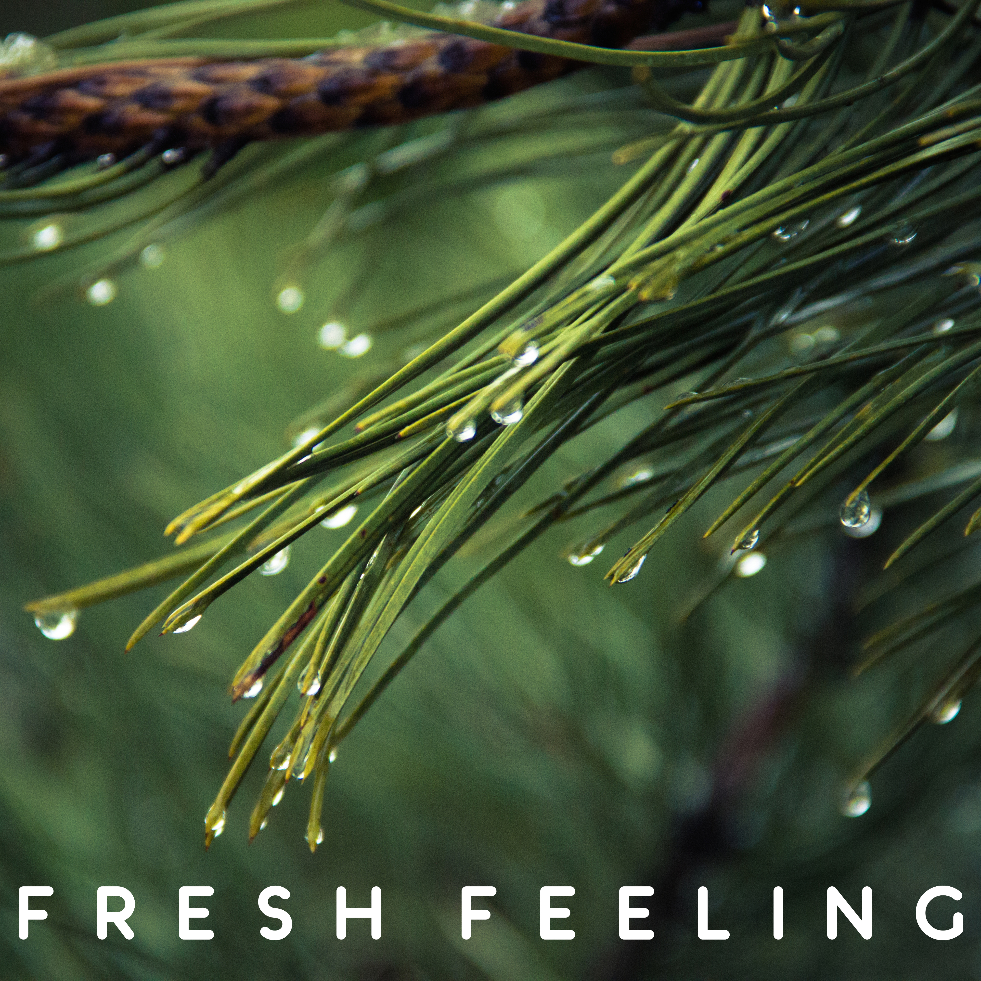 Fresh Feeling – Music for Meditation, Yoga Training, New Age Music, Sounds of Nature to Exercise, Healing Meditation