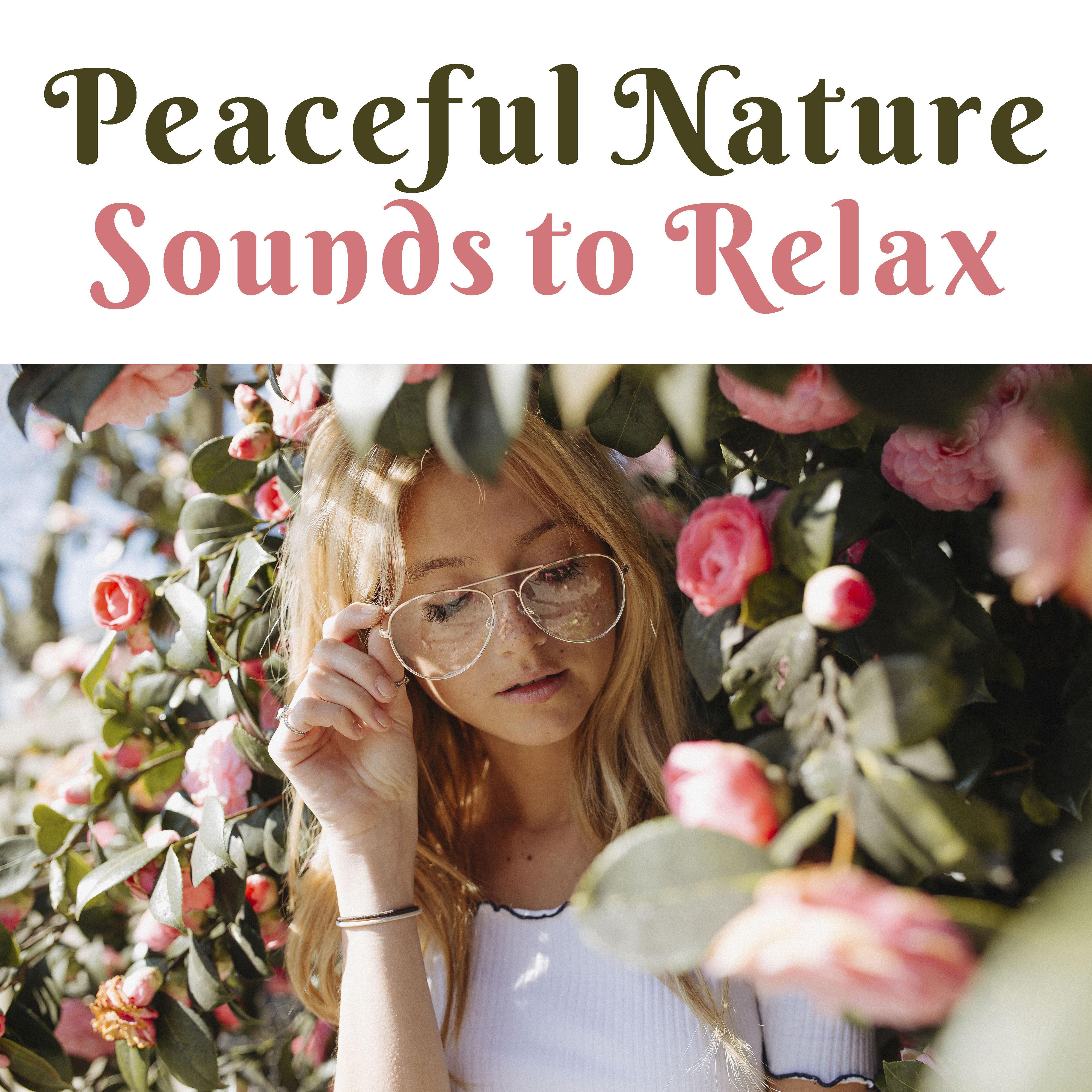 Peaceful Nature Sounds to Relax