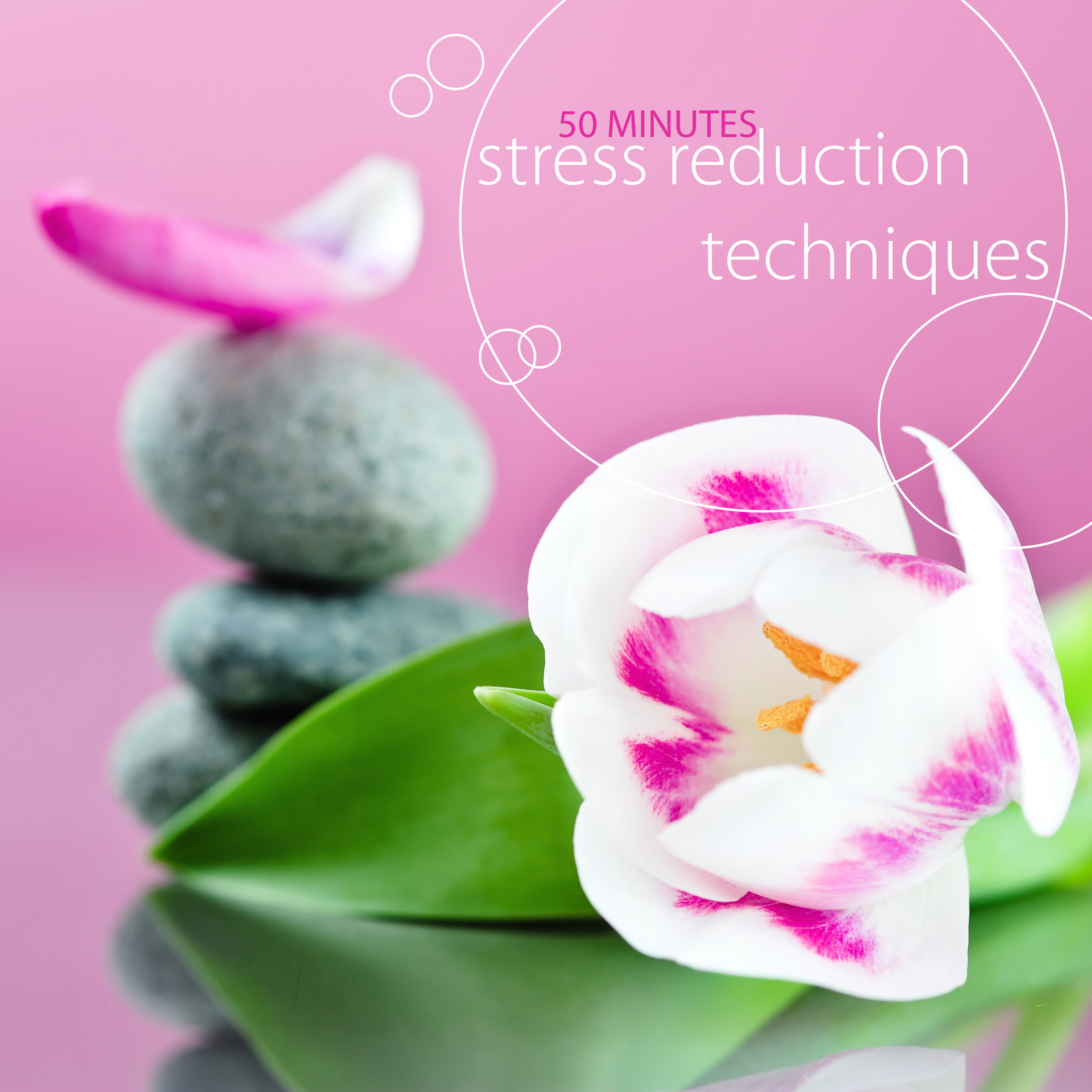 Stress Reduction Techniques