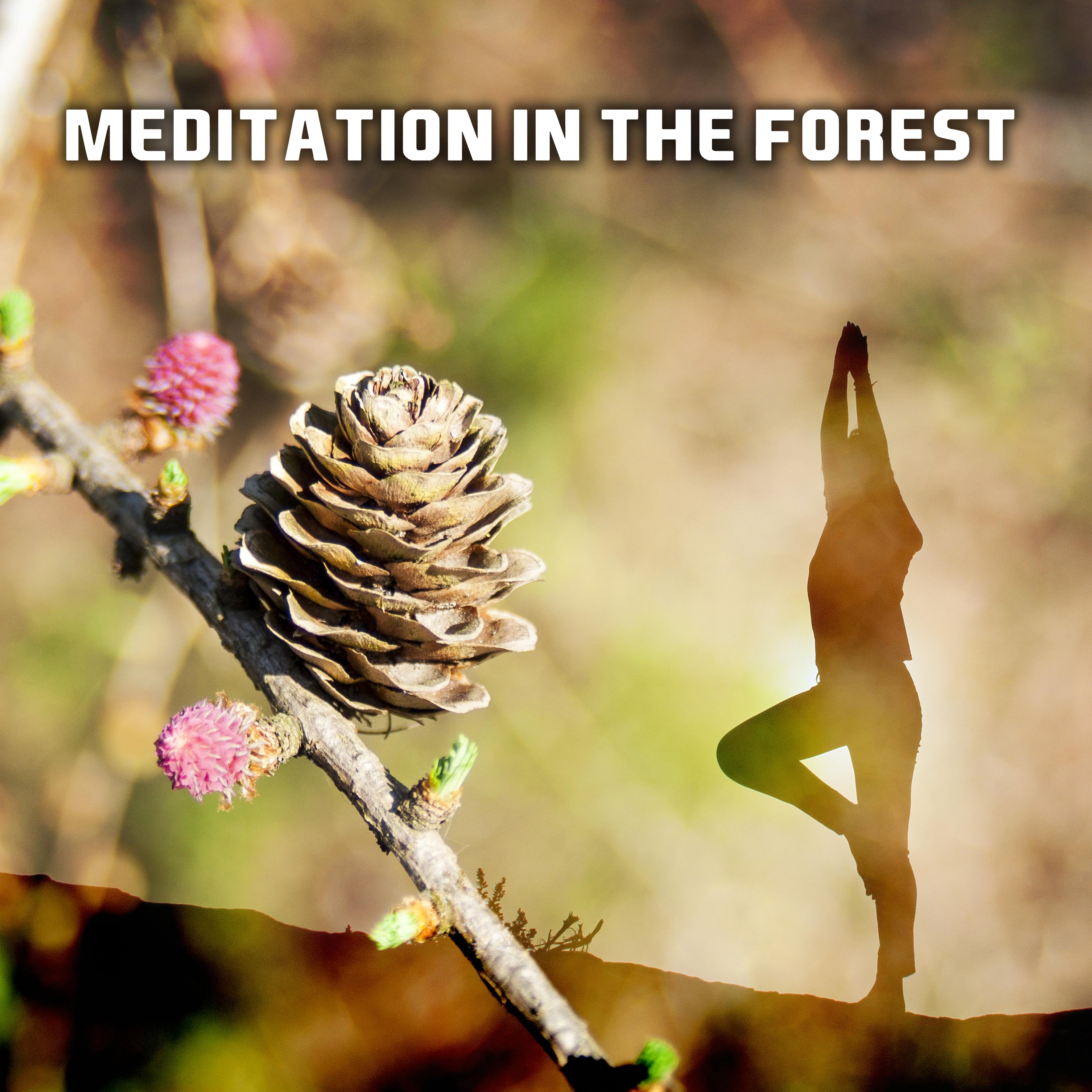 Meditation in the Forest – Relaxing Music, Be Close The Nature, Feel Inner Calmness, Zen, Bliss