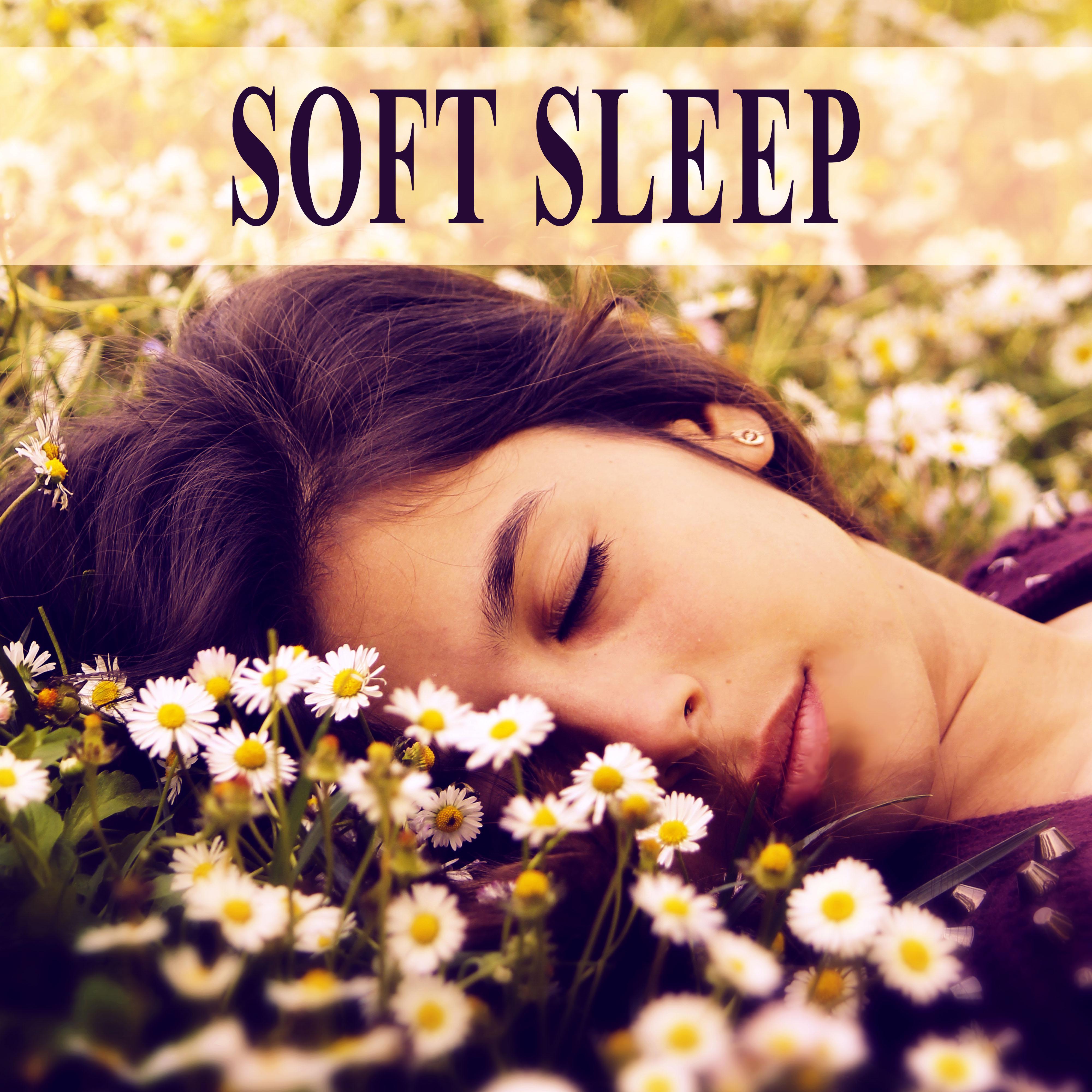 Soft Sleep - Sounds of Nature, Soothing Sounds, Deep Sleep, Cure Insomnia, Sleep Music