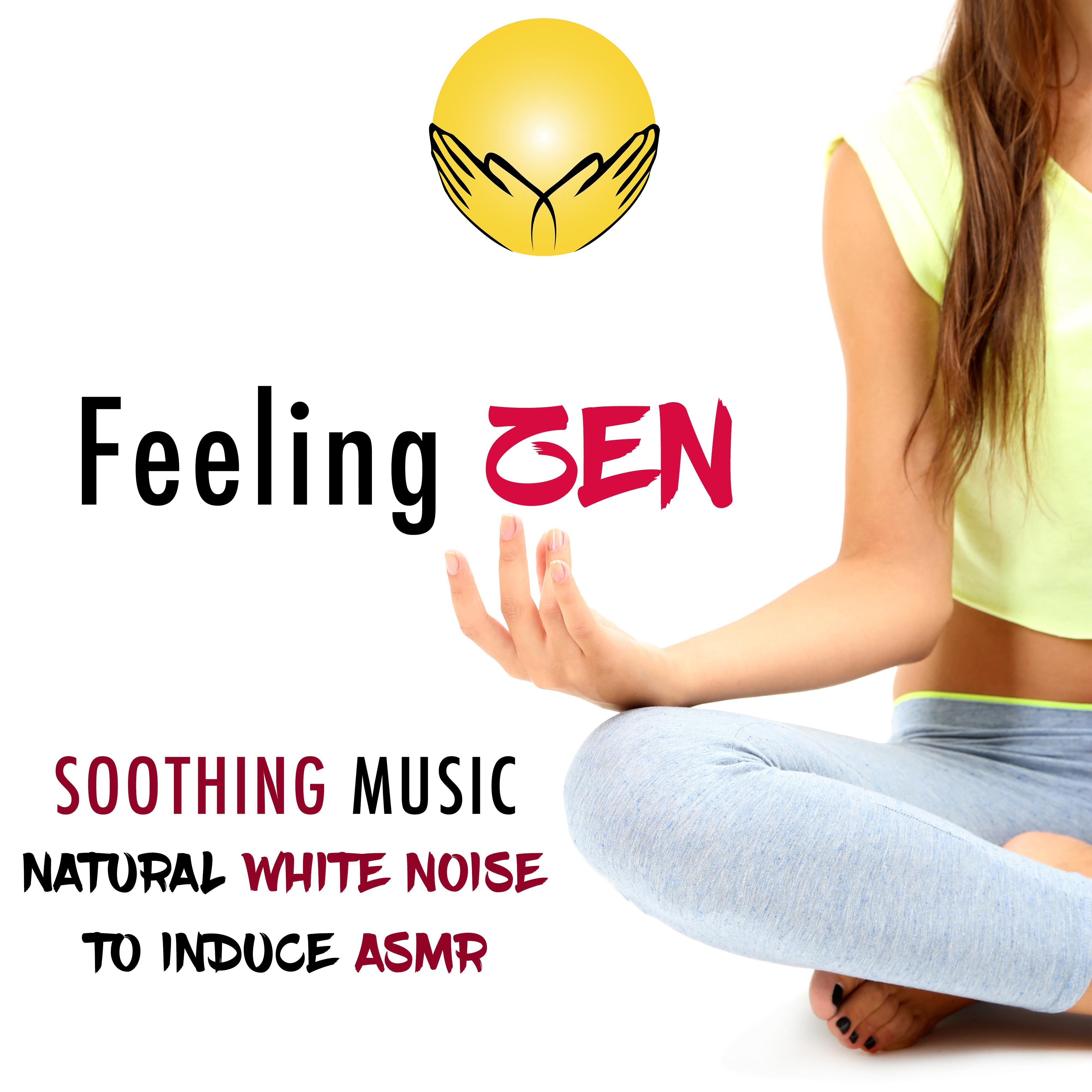 Feeling Zen - Natural White Noise and Soothing Music to Help You Sleep and Relax with Nature Sounds to help Induce ASMR