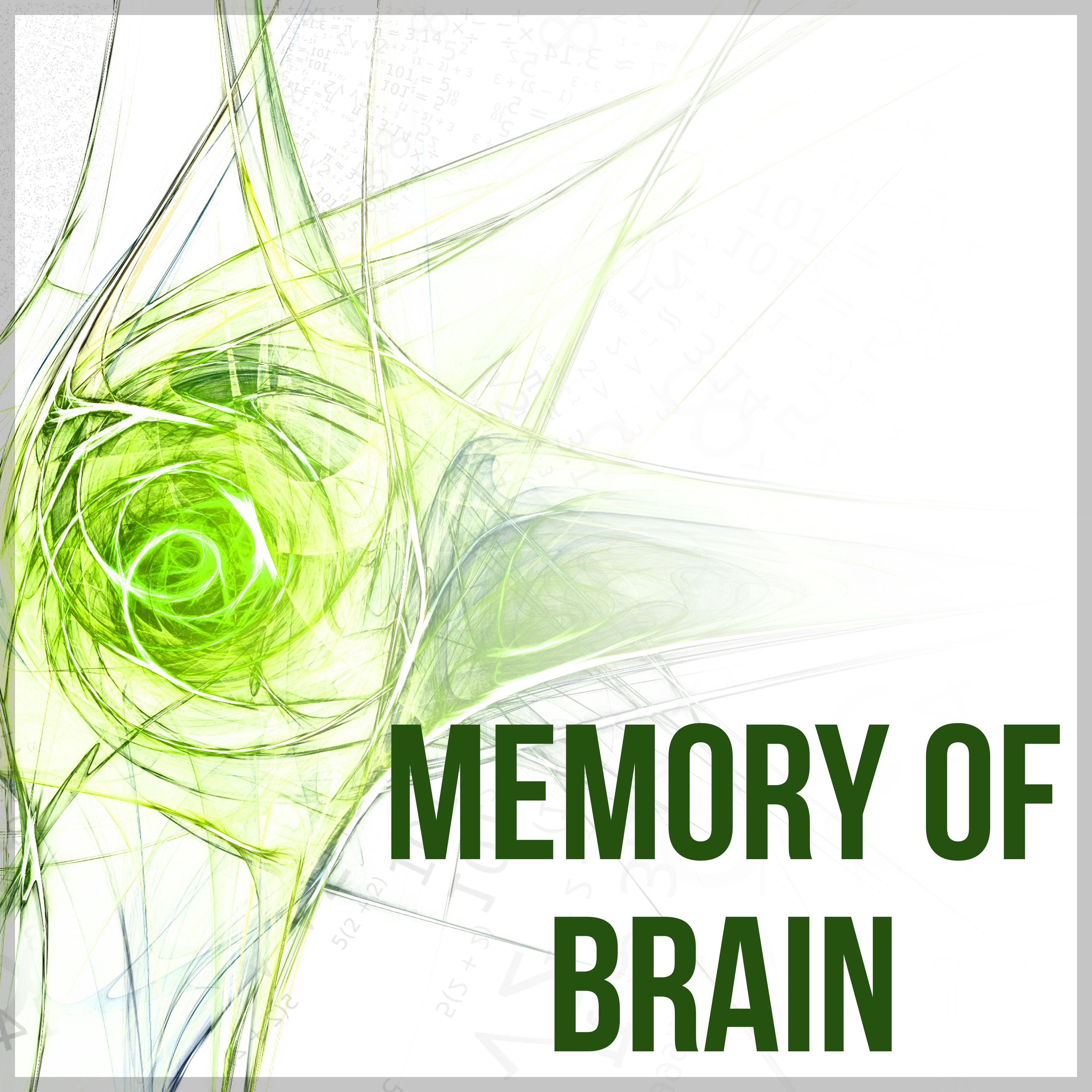 Memory of Brain – Music for Study, Calm Music for Relax, Soft Music for Brain Power, Improve Concentration, Focus, Deep Brain Stimulation, Mind Games