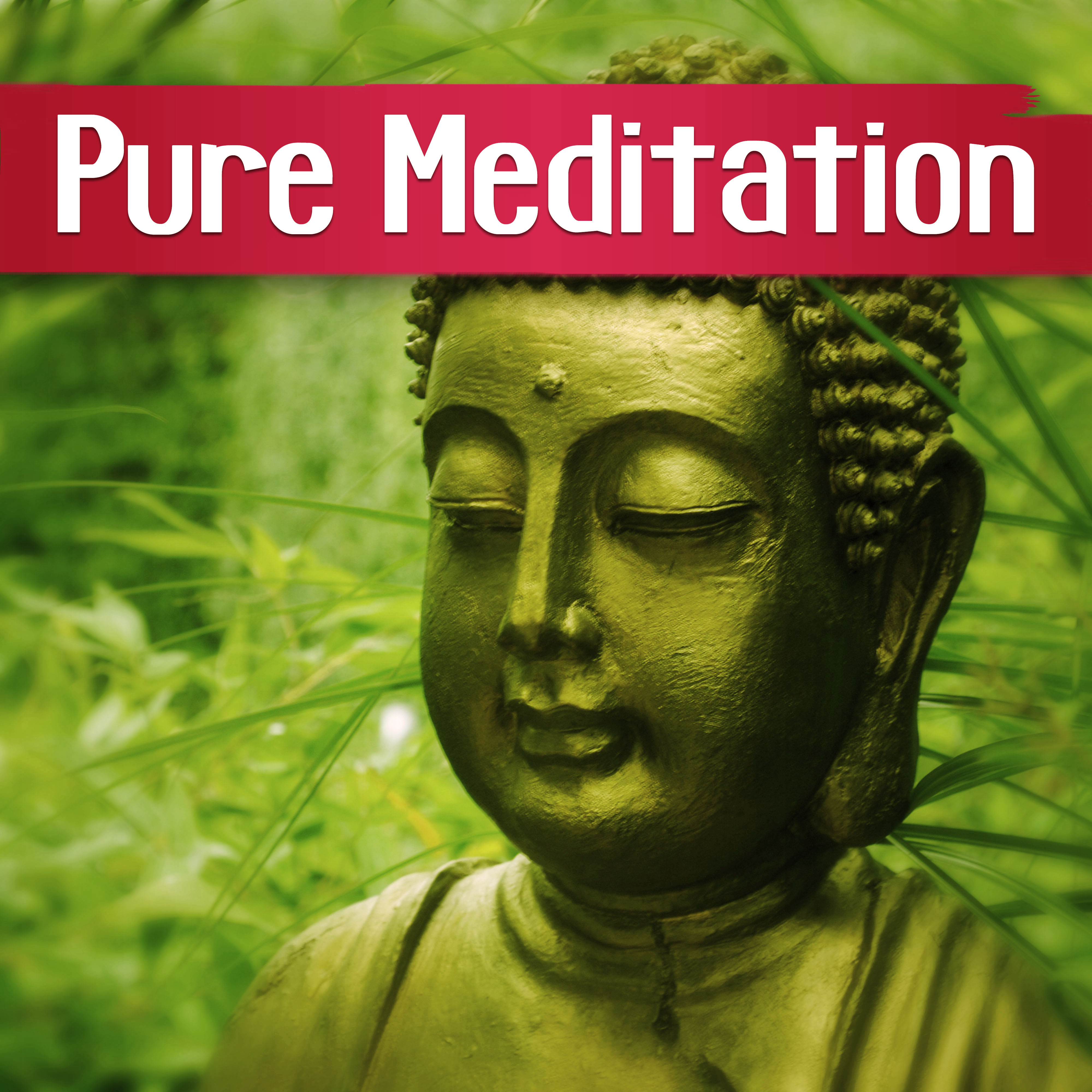 Pure Meditation - Yoga Relaxing Meditation Music, Harmony, Yoga Class, Nature Sounds, Deep Relaxation