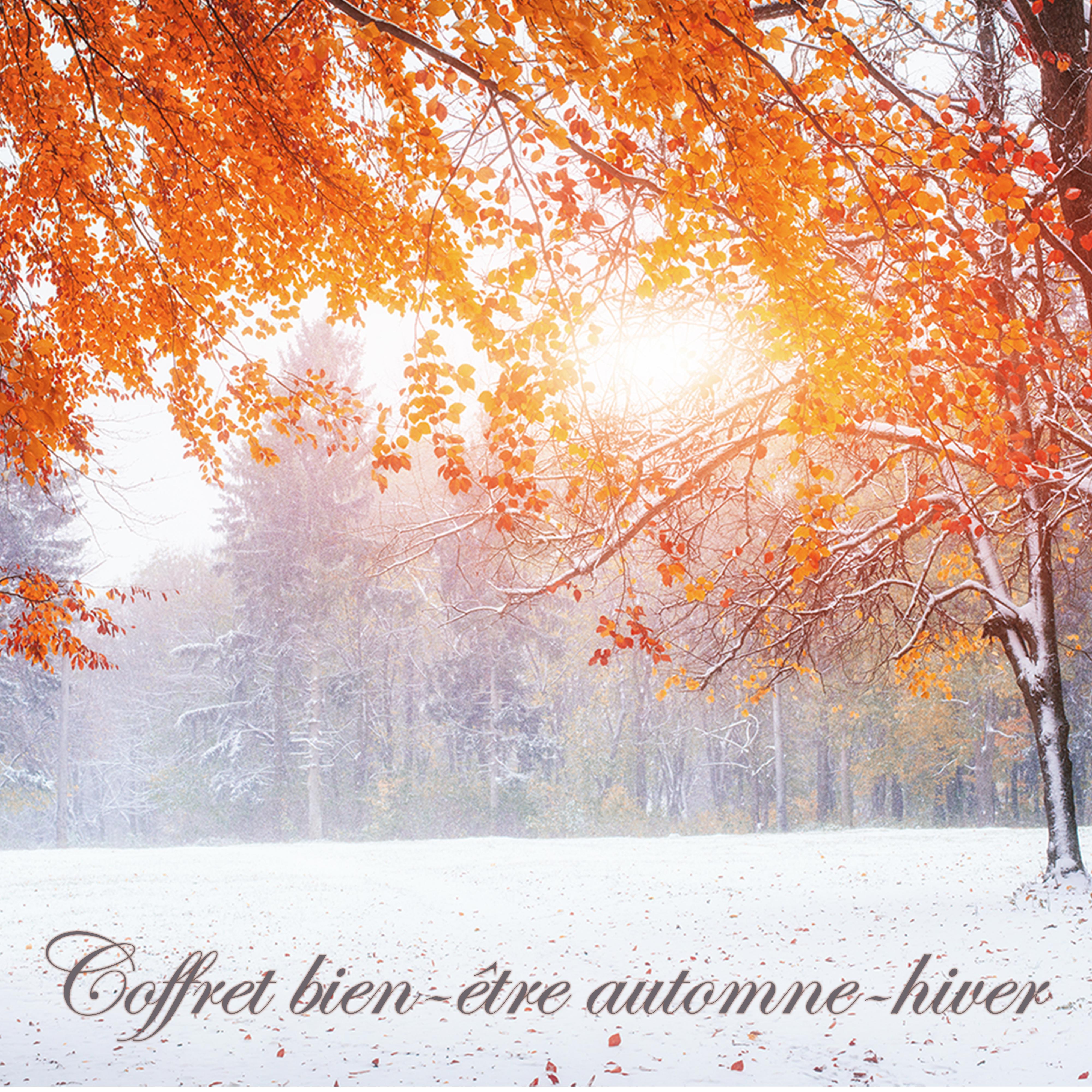 Coffret bien-être automne-hiver – Musique relaxante de détente, méditation, hamman, shiatsu, réflexologie plantaire et massage