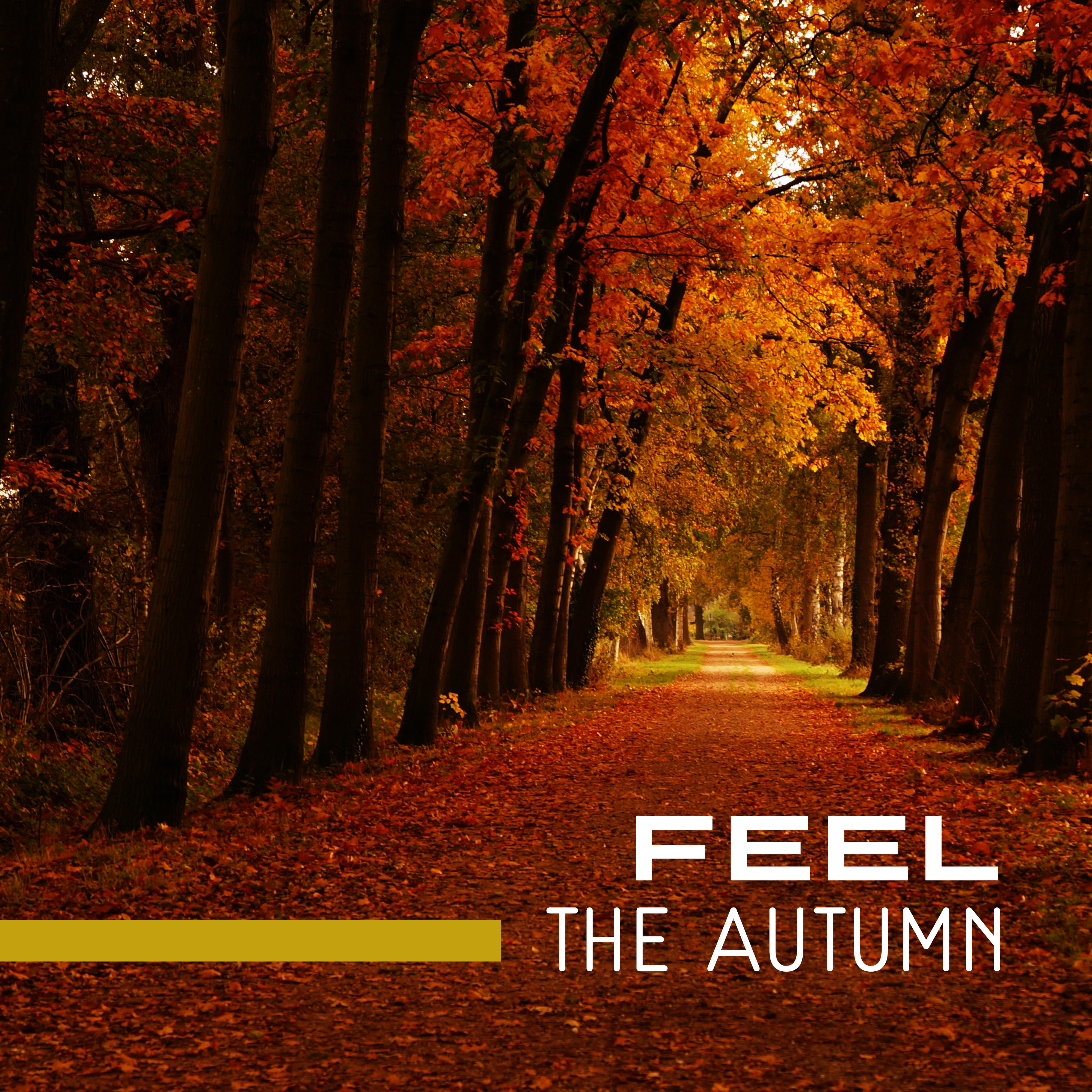 Feel The Autumn