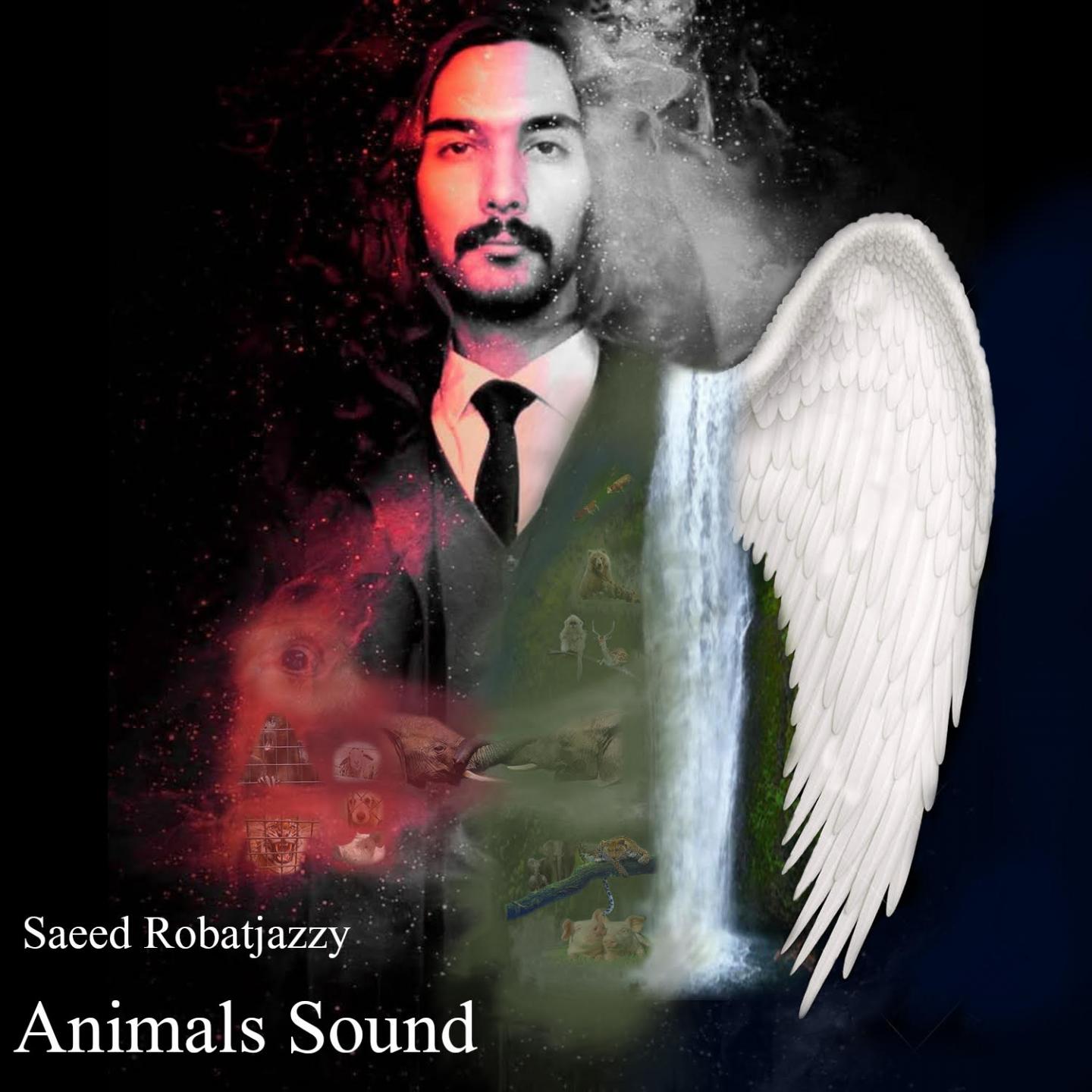 Animals' Sound