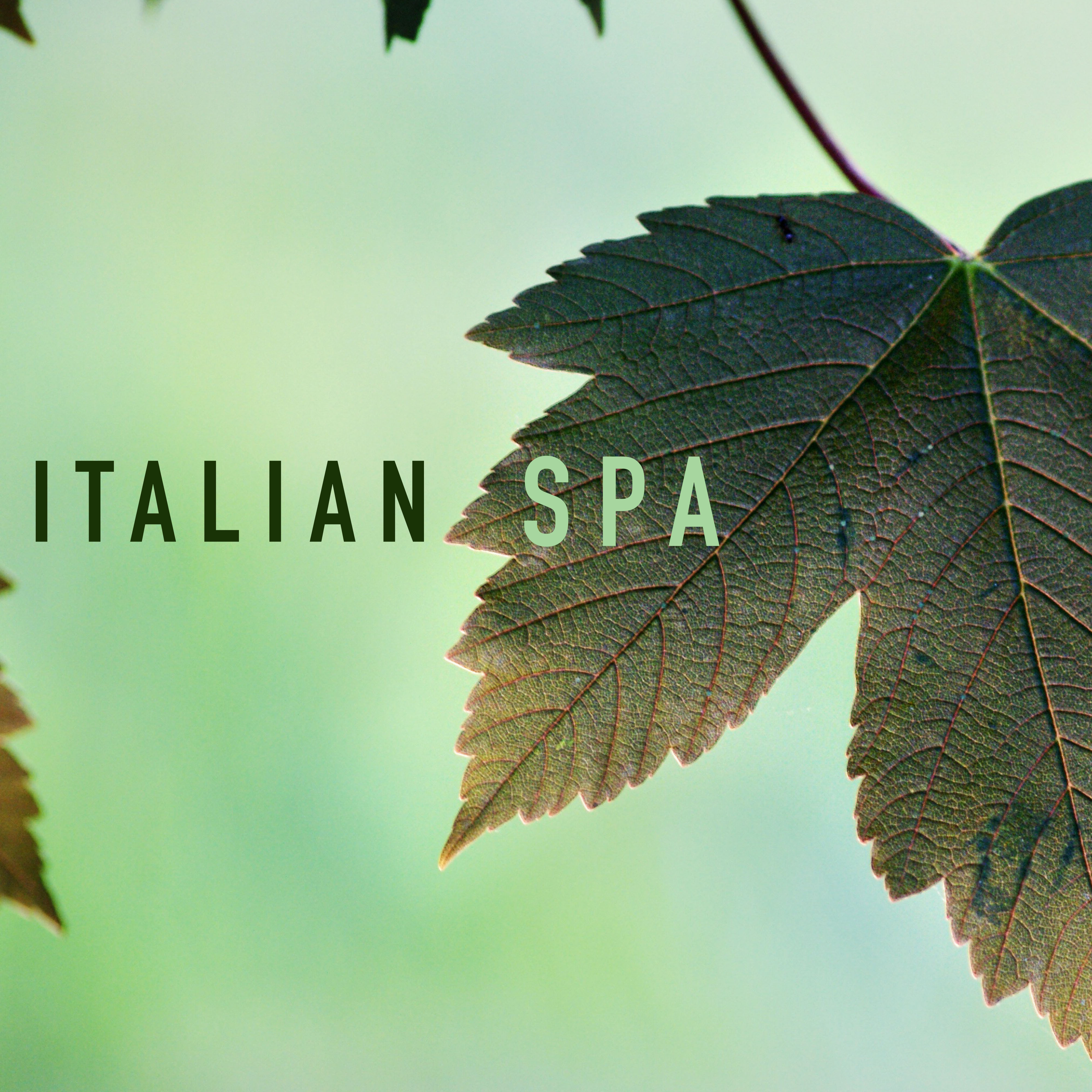 Italian Spa - Ambient Therapy Wellness Music