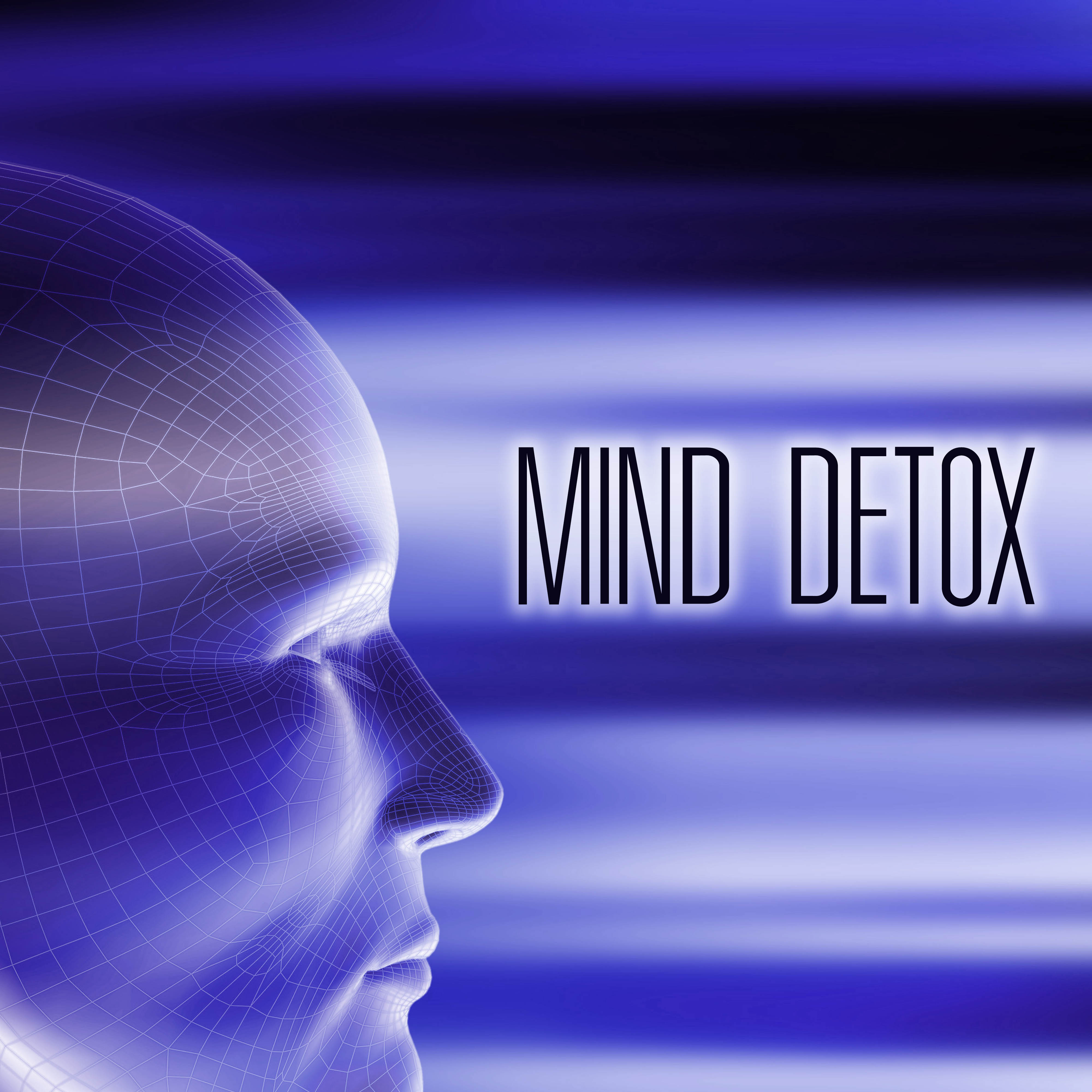 Mind Detox - Soothing Songs with Sounds of Nature