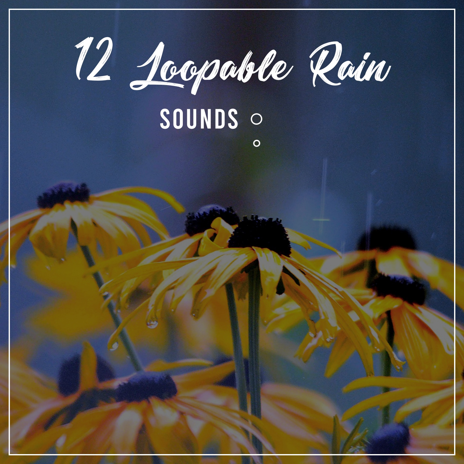 12 Loopable Rain and Nature Sounds