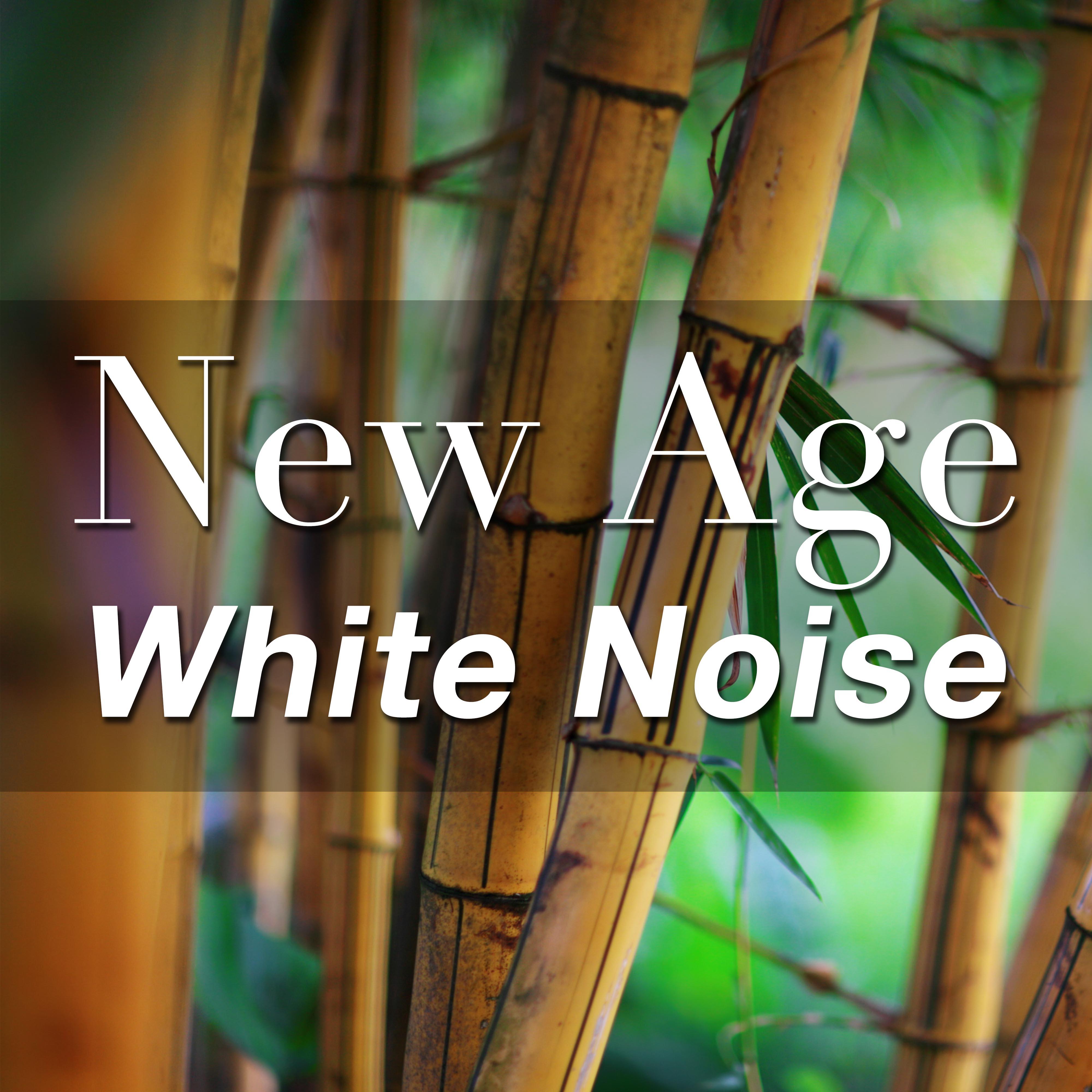 New Age White Noise: Ambient Music Playlist for Intense States of Quiet, Peace, and Calm with Sounds of Nature like Rain, Wind and Waves on Tropical Beaches