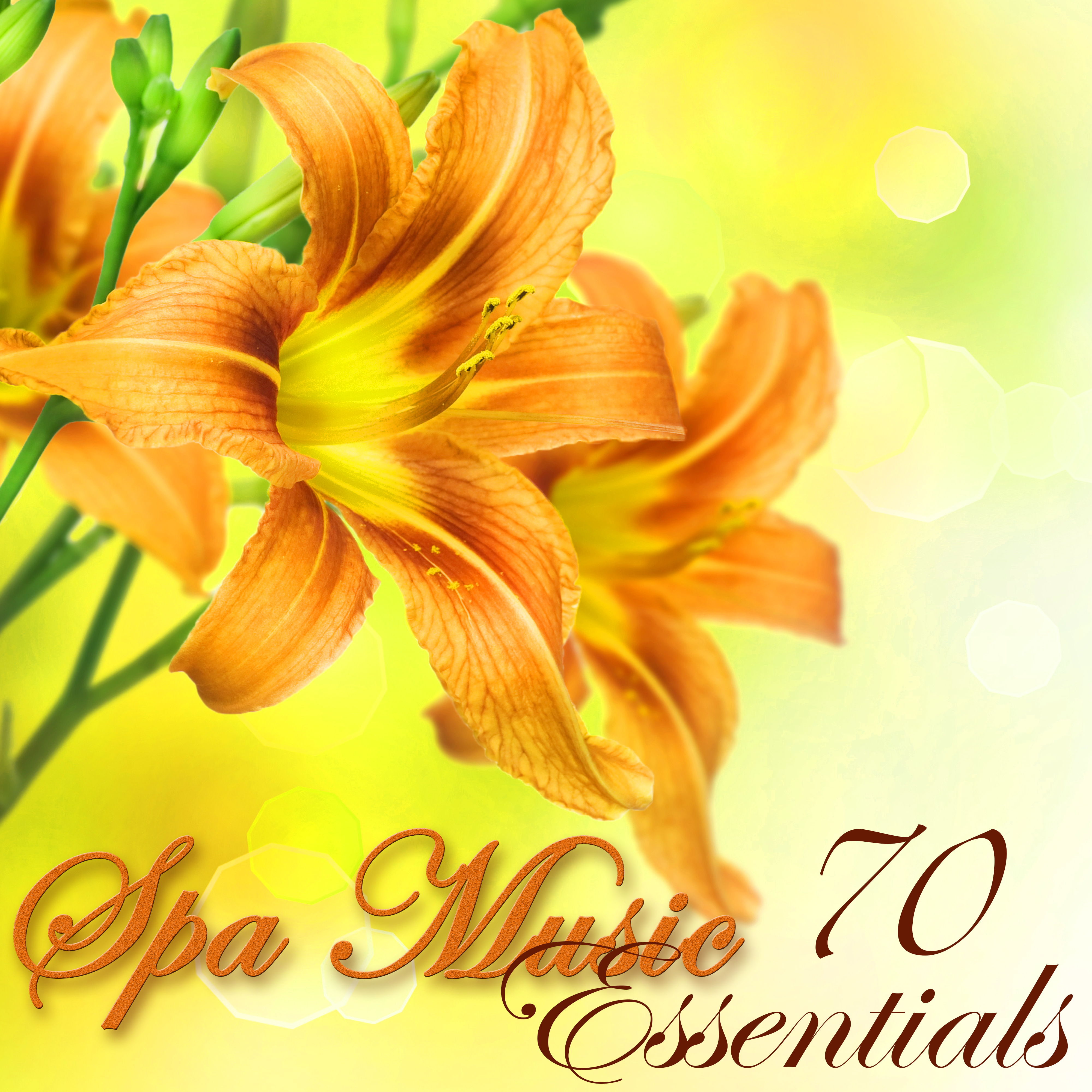 Spa Music Essentials – 70 Soothing Spa Sounds for Wellness, Massage, Relaxation, Body Detox, Weight Loss Yoga and Bikini Body Spa Treatments