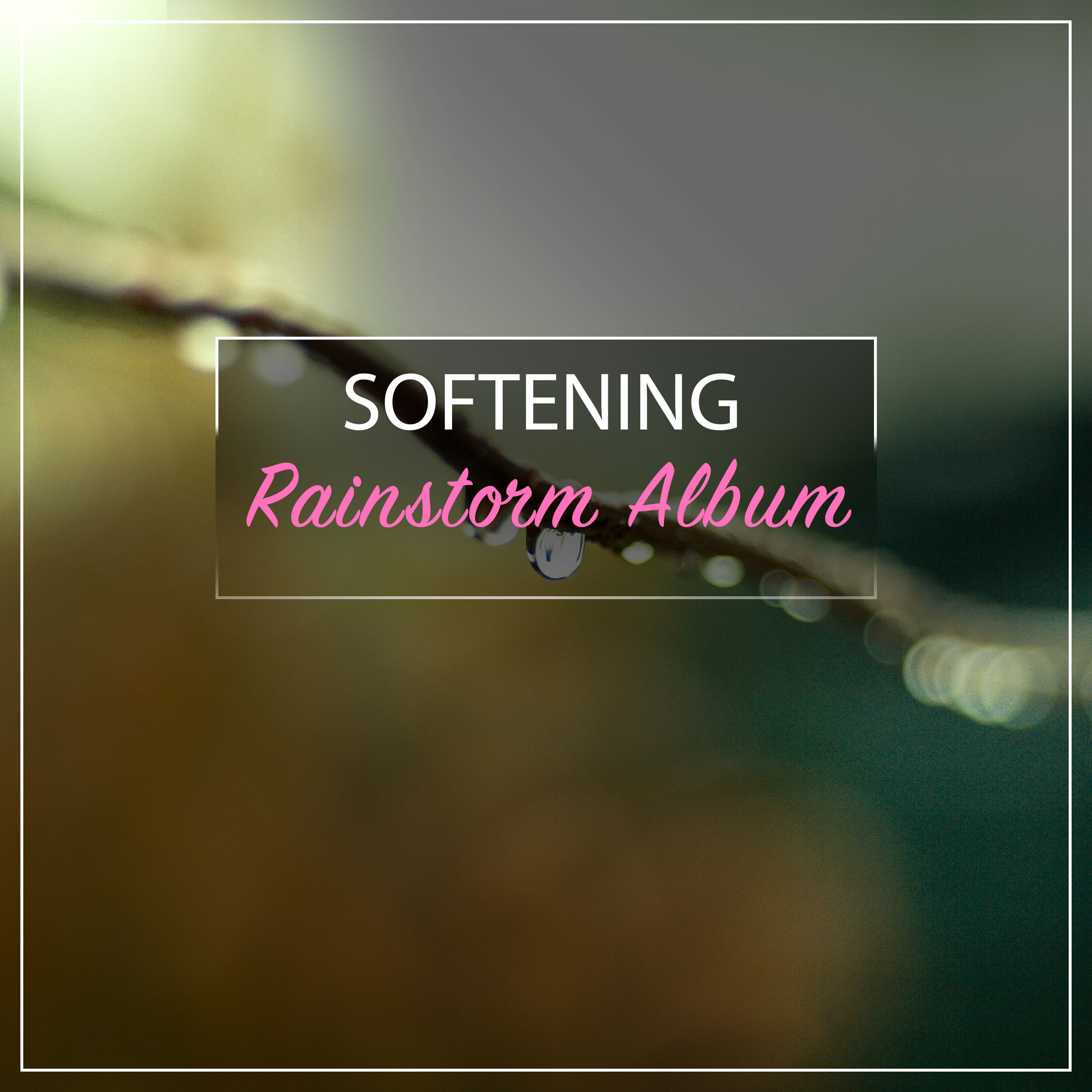 #15 Softening Rainstorm Album