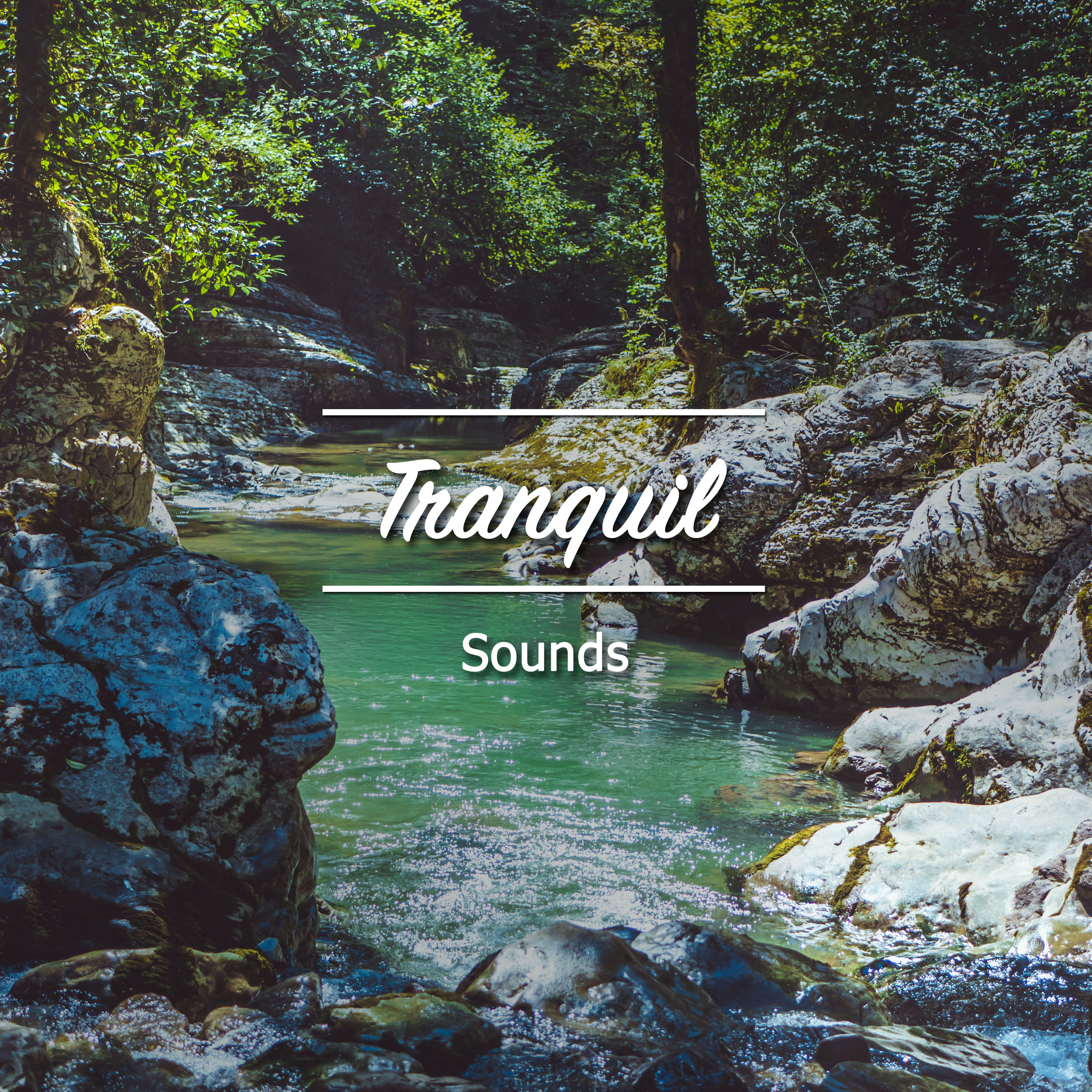 #10 Tranquil Sounds to Promote Wellness & Heal Chakras