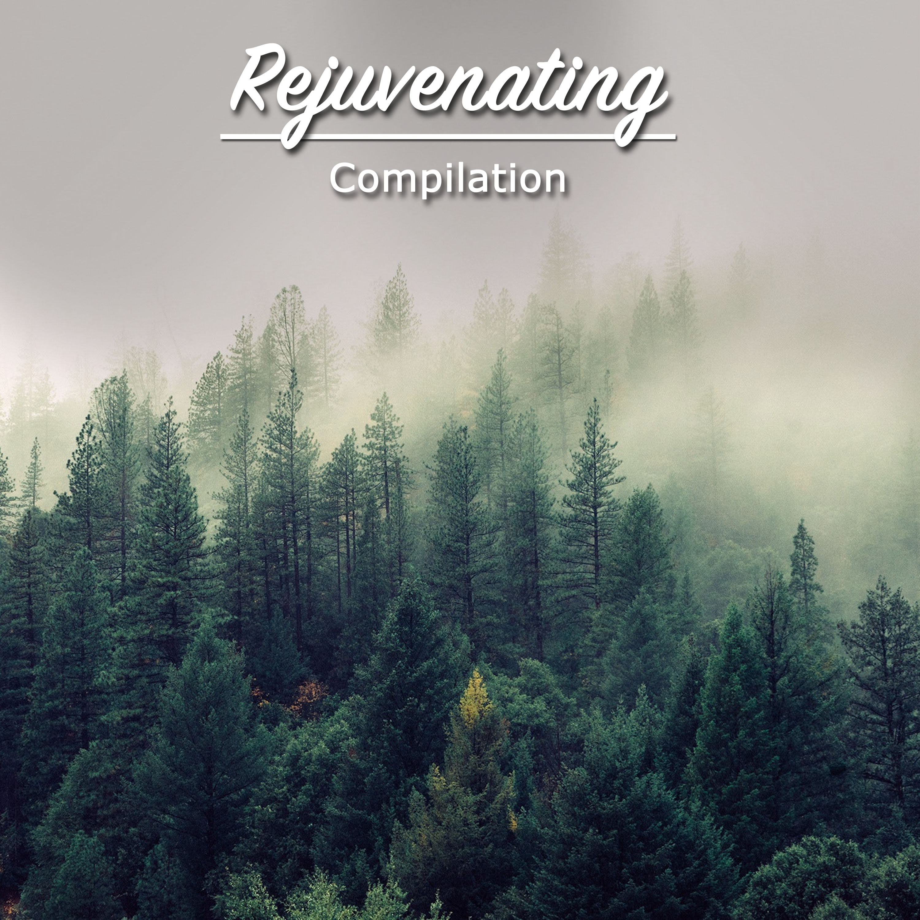 #17 Rejuvenating Compilation for Calming Yoga Workout