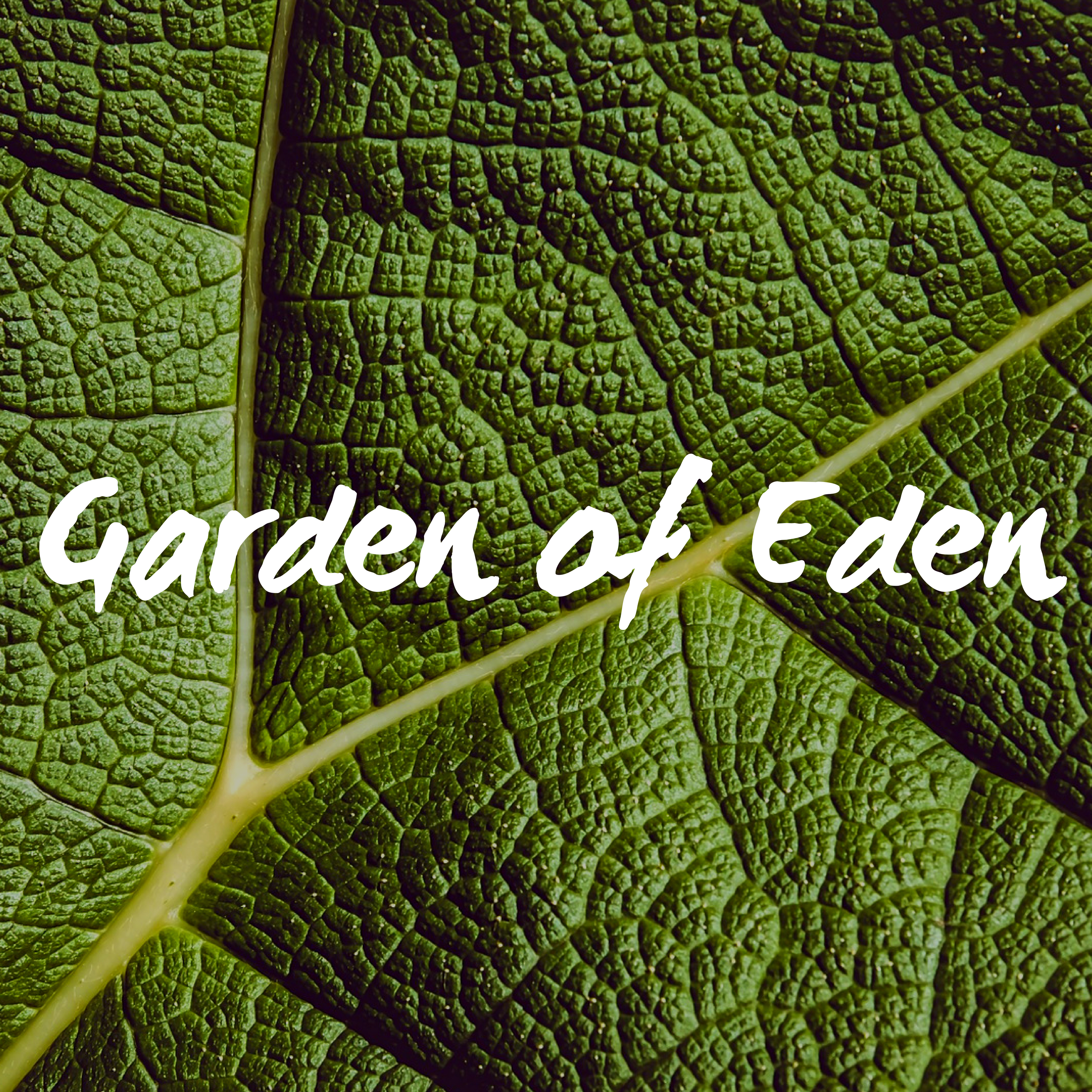 Garden of Eden