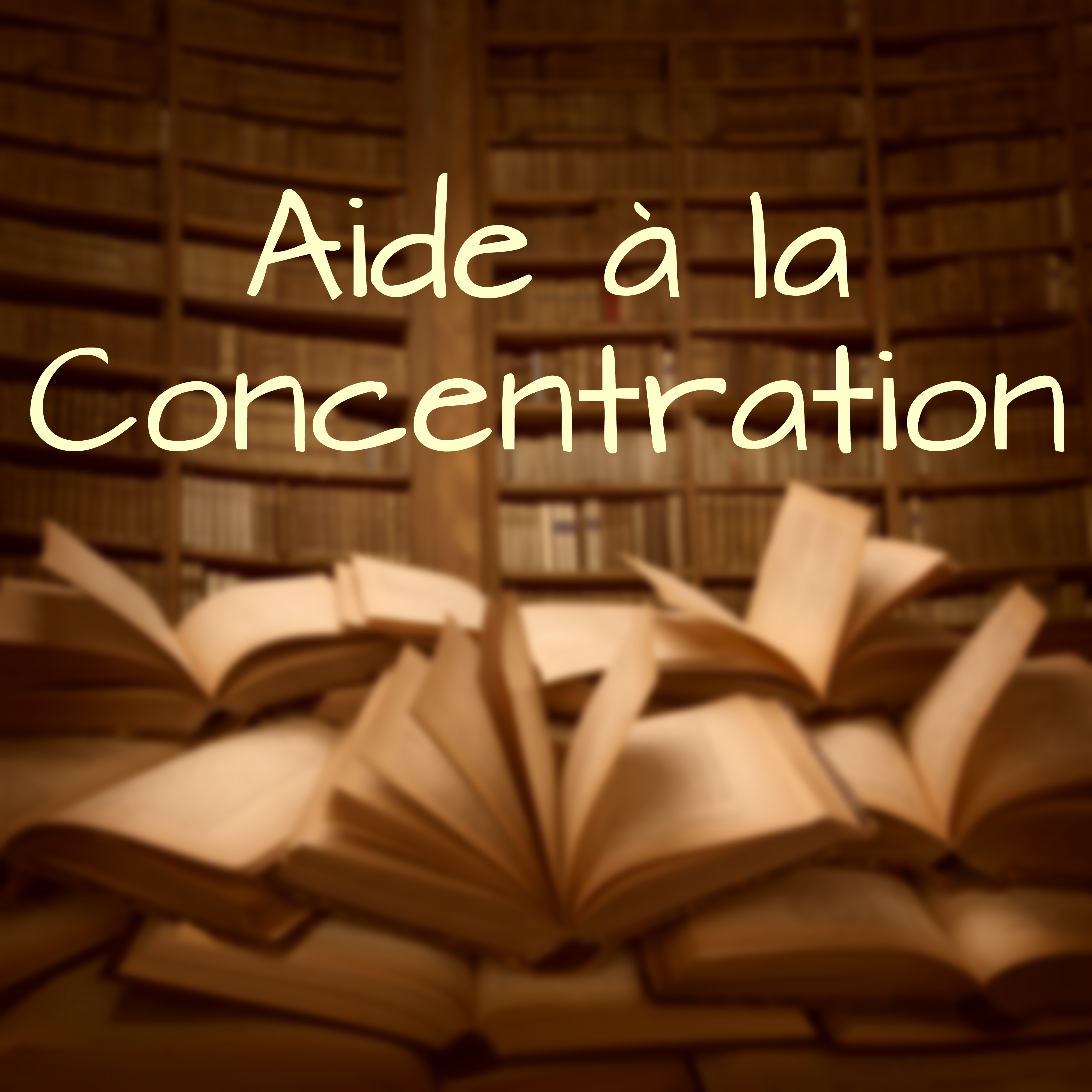 Aide à la Concentration: Musique pour la Mémoire et la Concentration, Travail Serein et Focalisé