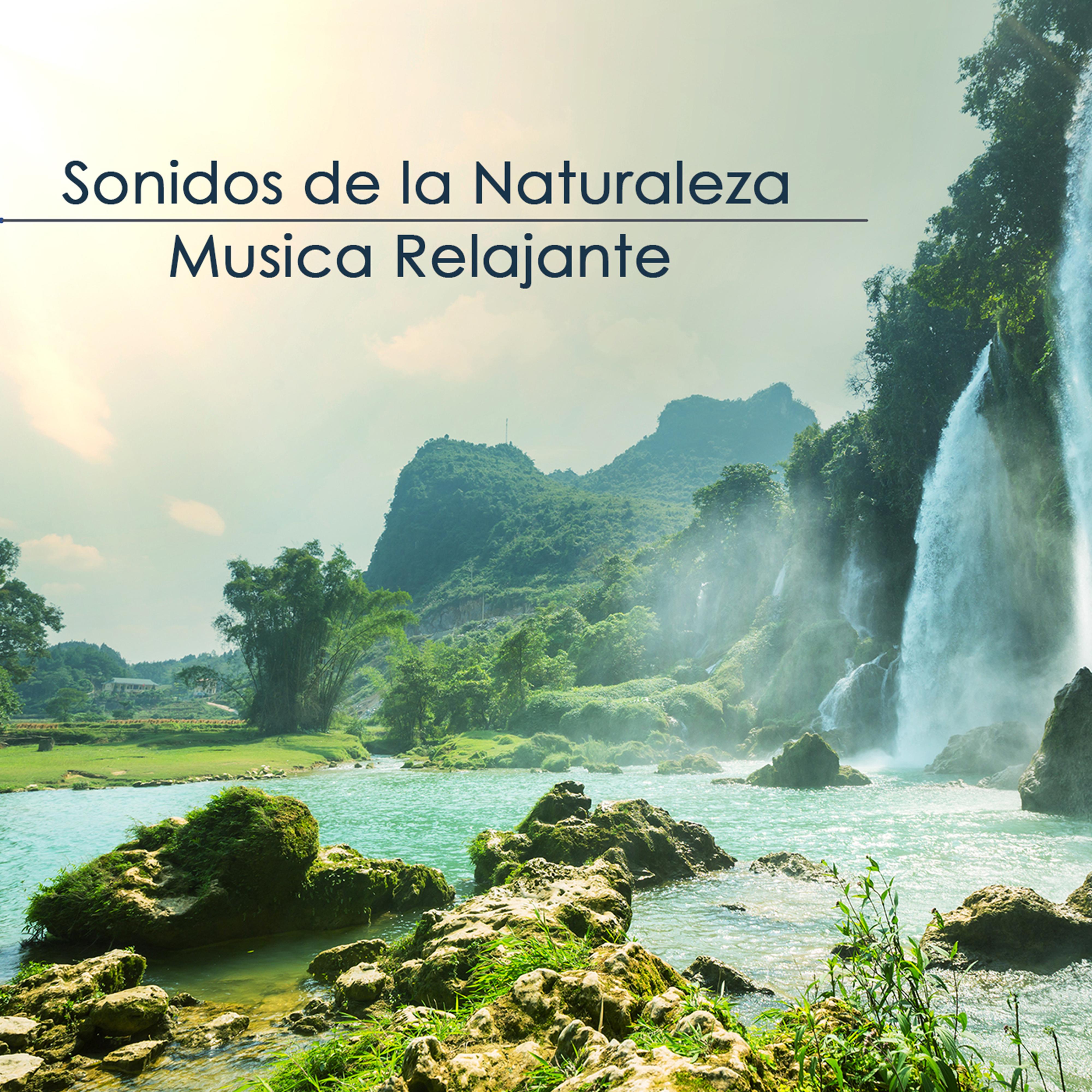 Sonidos de la Naturaleza y Musica Relajante