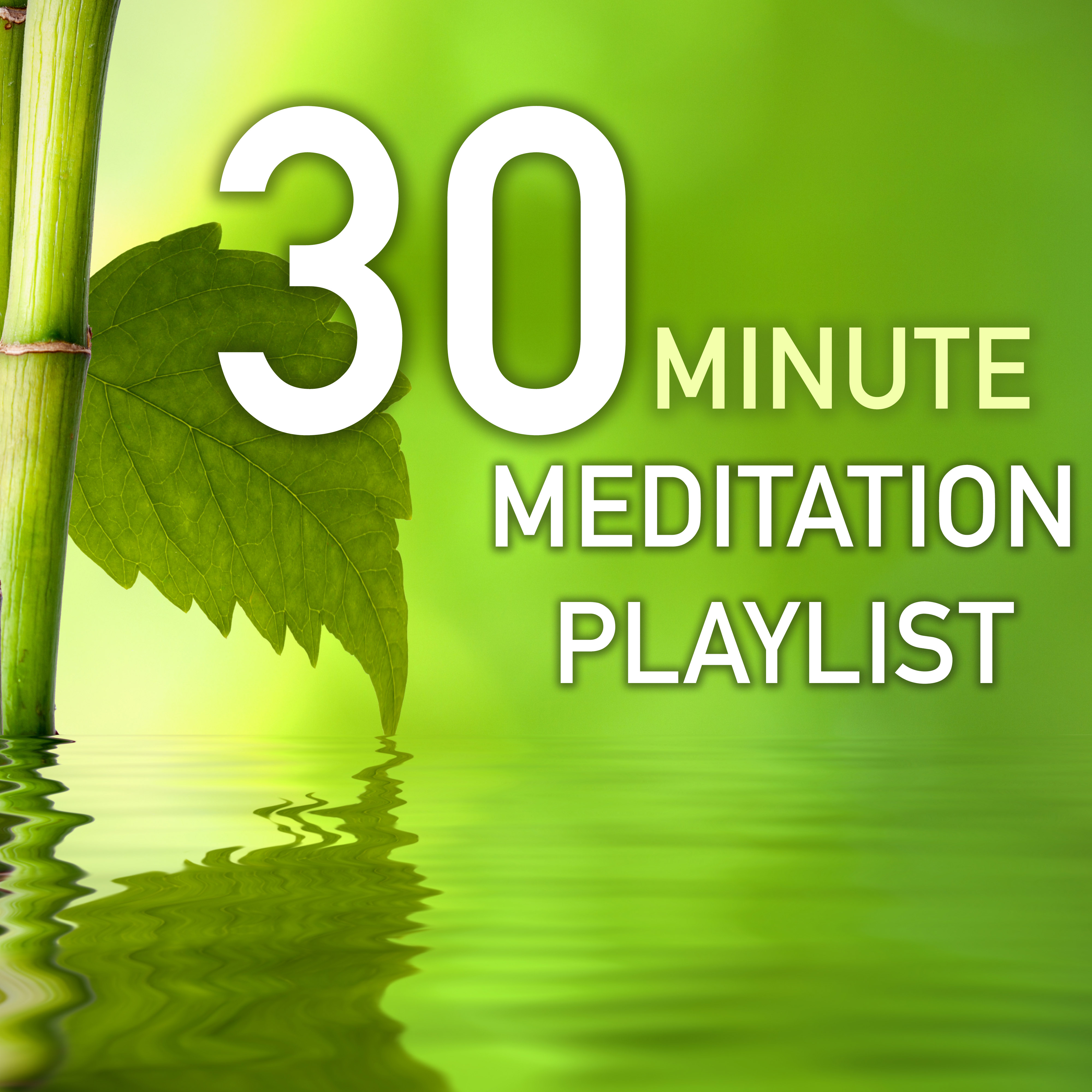 30 Minute Meditation Playlist - Peaceful Sounds of Nature for Meditating Sessions in the Morning and Evening