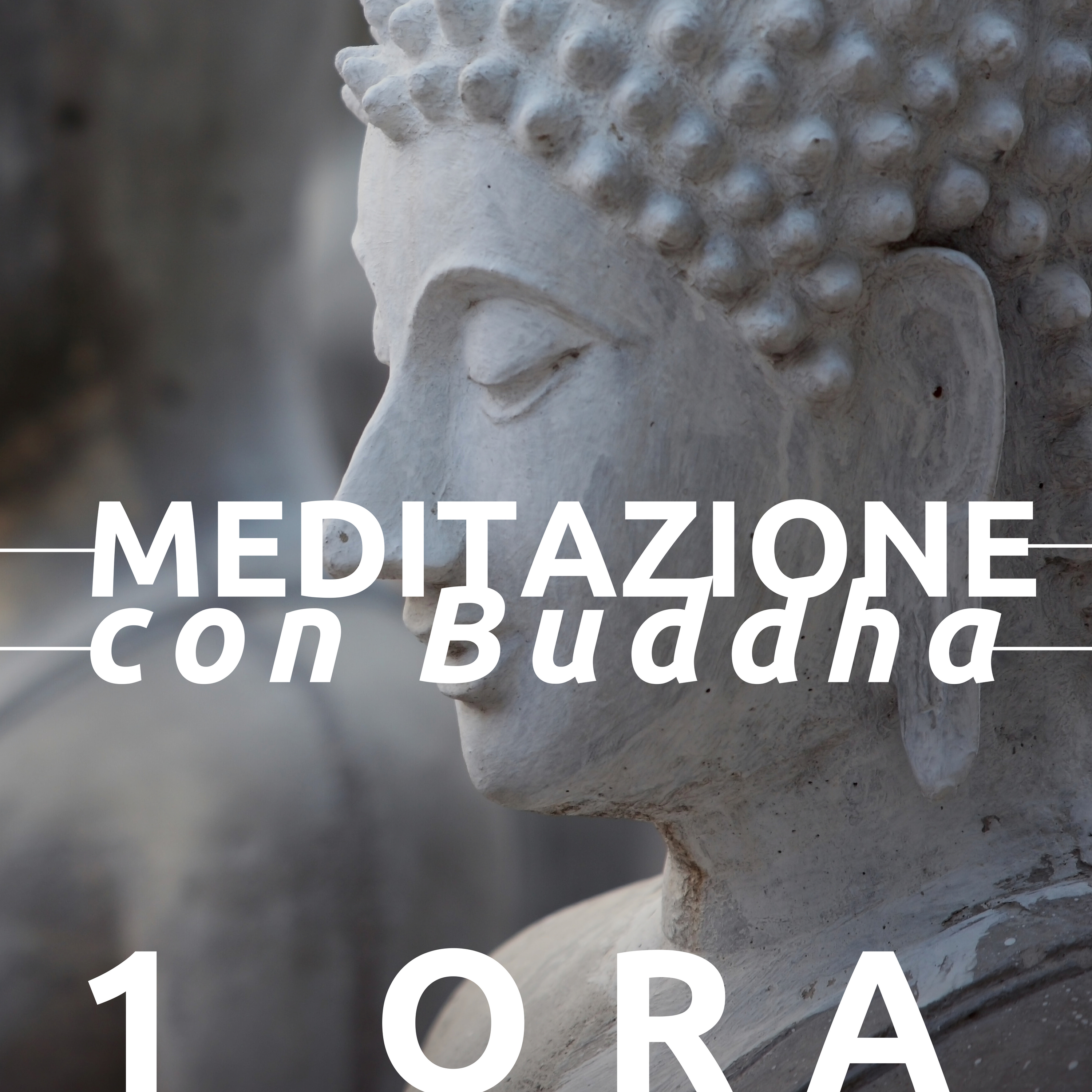 Meditazione con Buddha