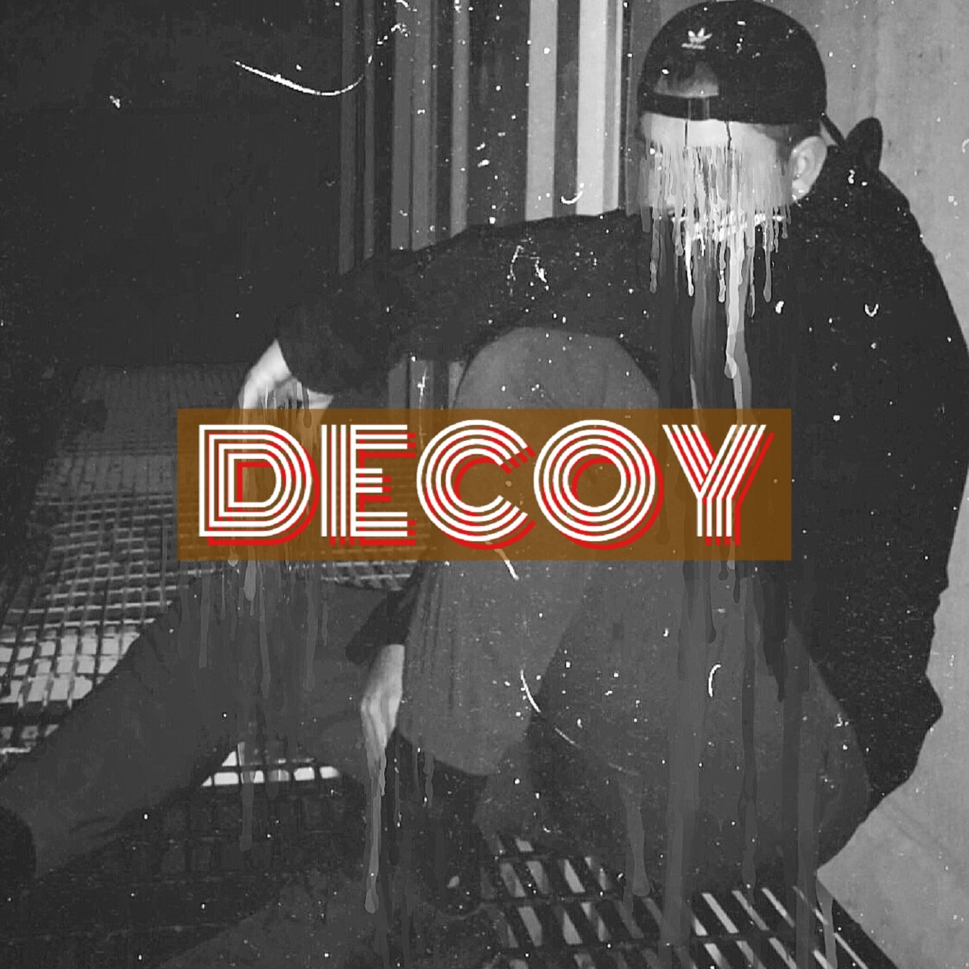 Decoy