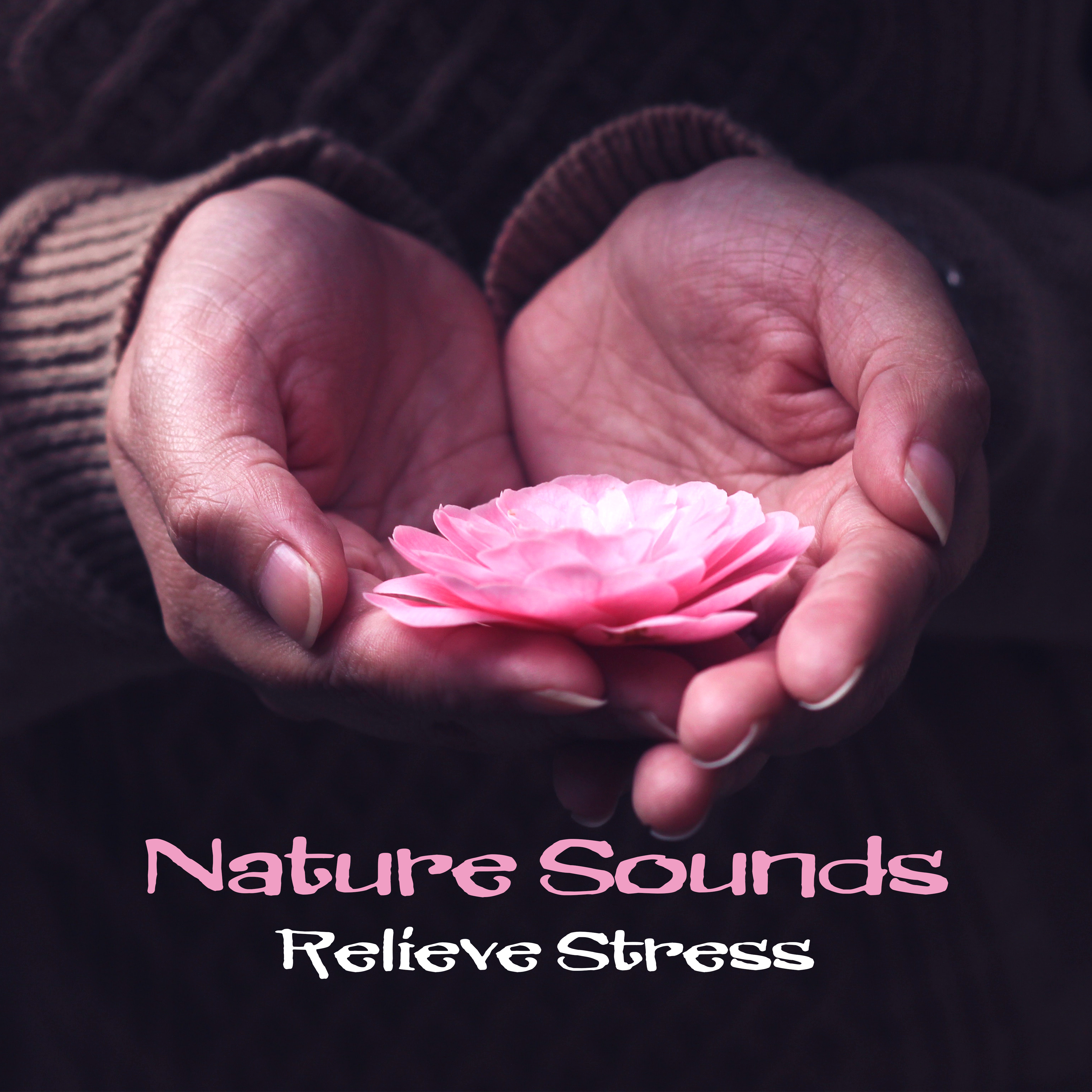 Nature Sounds Relieve Stress – Healing Music, Spa Dreams, Deep Massage, Relaxation, Soft Spa Music to Calm Down, Zen, Pure Rest