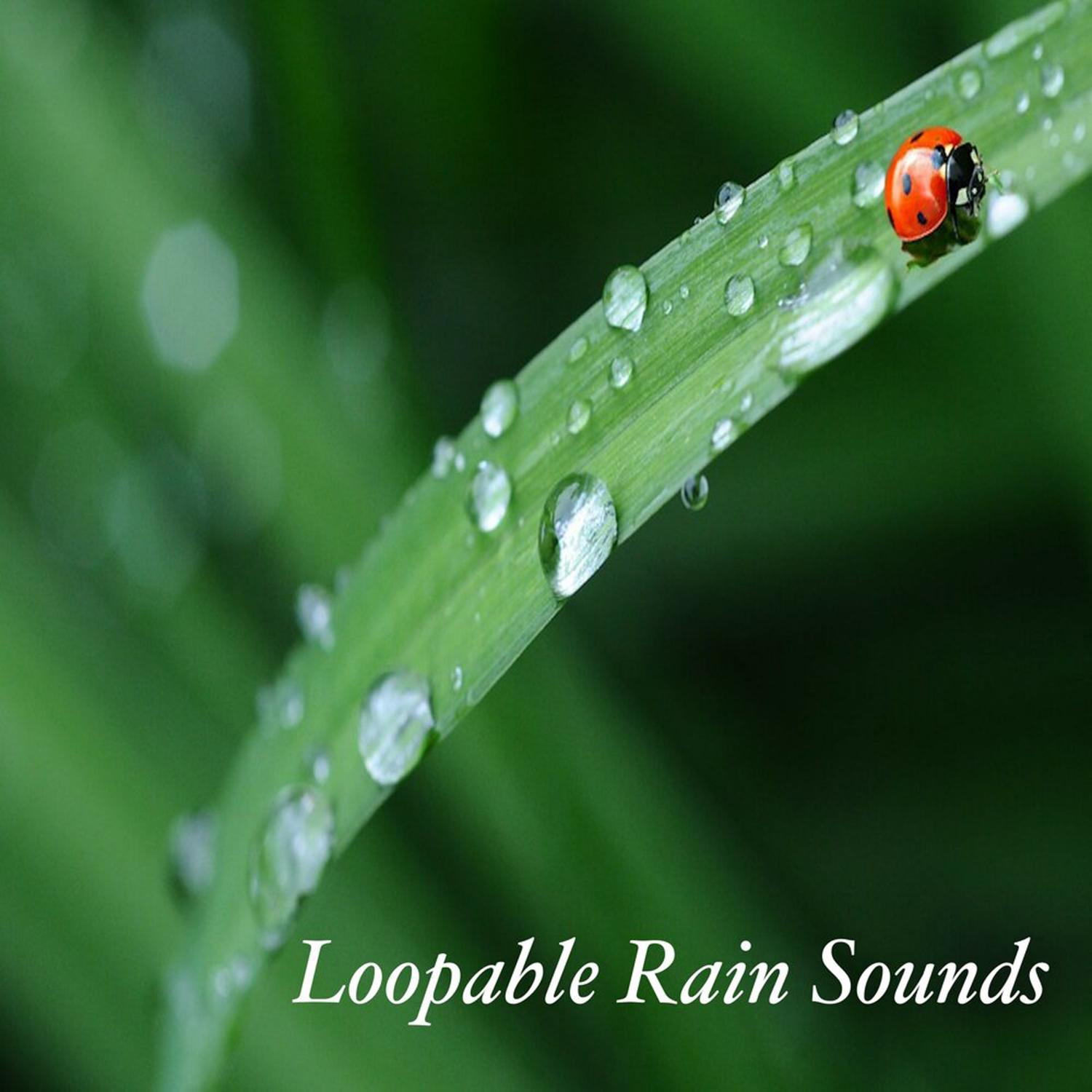 Loopable Rain Sounds: Trouble Sleeping, Insomnia, Relaxation, Meditation