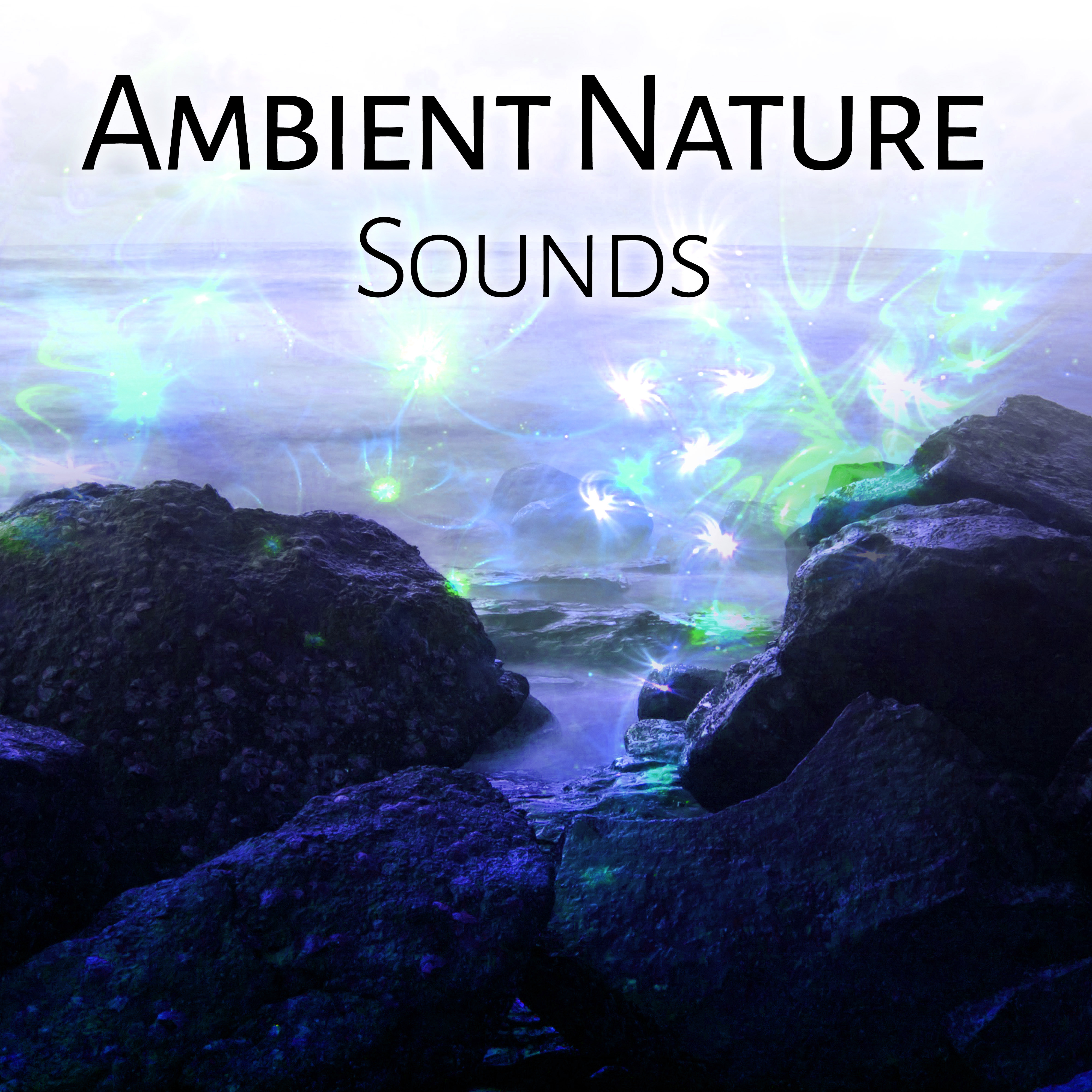 Ambient Nature Sounds – Calm Your Mind, Relaxing Melodies, Stress Free, Inner Harmony