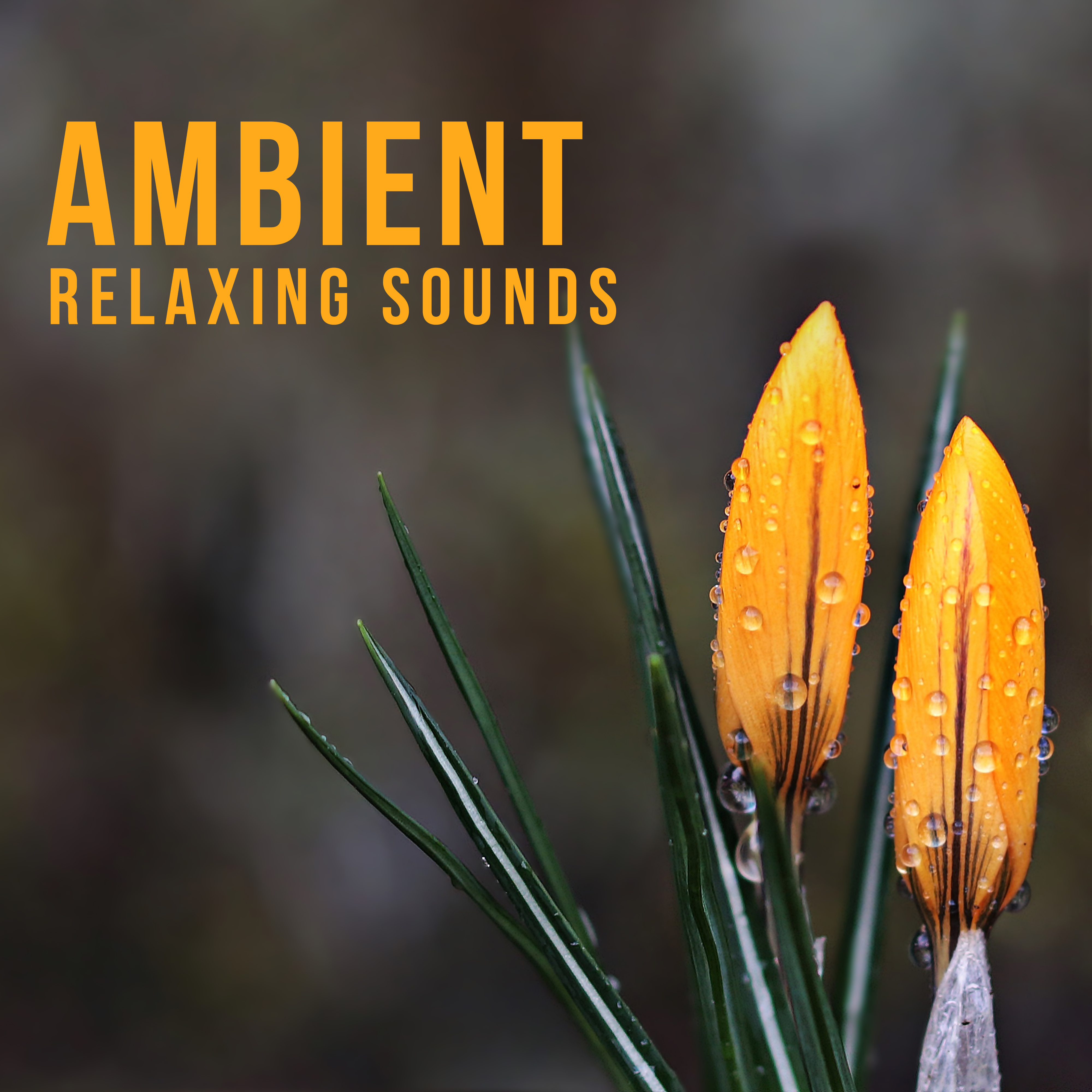 Ambient Relaxing Sounds – Relaxing Music for Lazy Day, Soothing New Age Sounds, Rest Your Mind, Soul Harmony