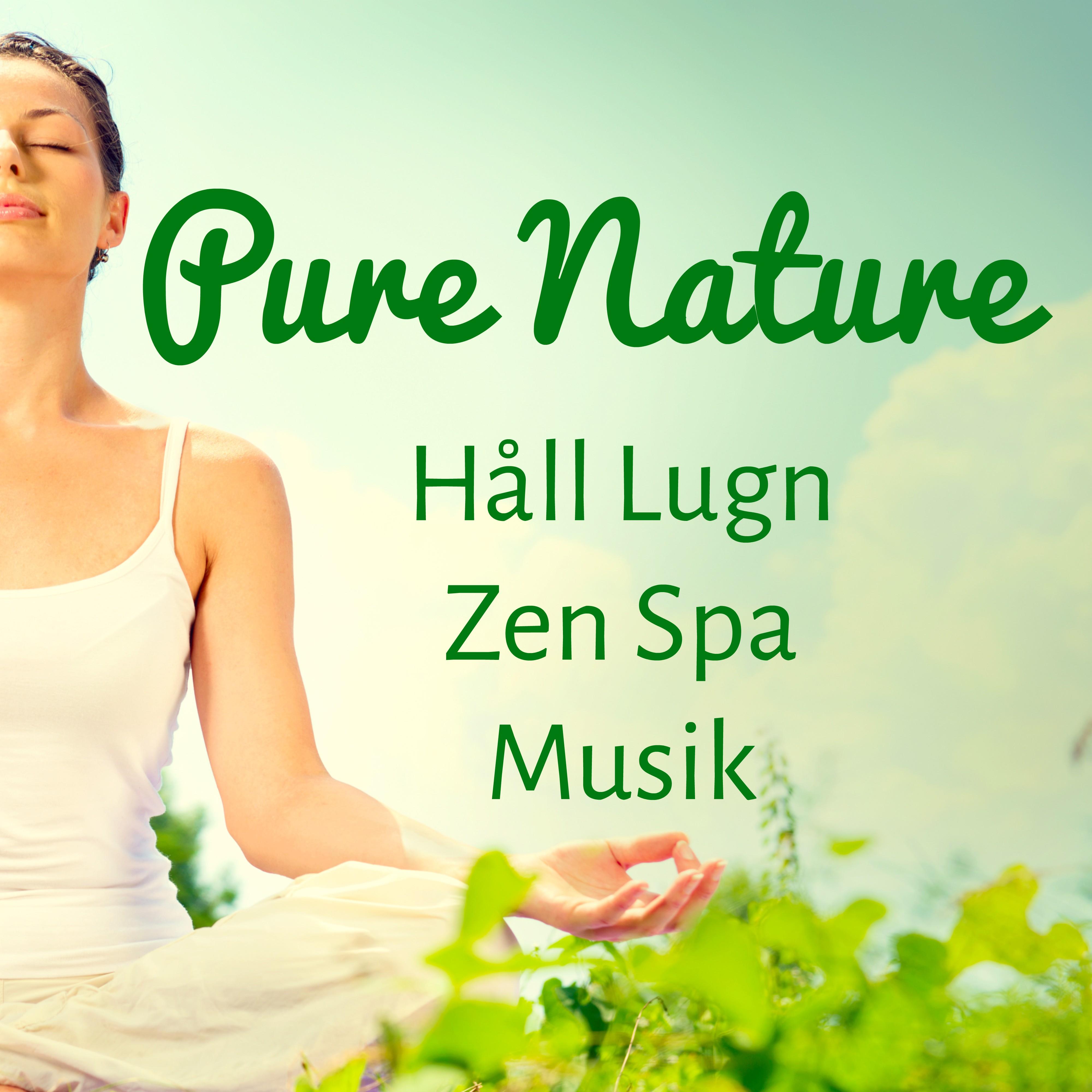 Pure Nature - Håll Lugn Zen Spa Musik för Öka Hjärnkapacitet Vägledd Meditation och Andlig Träning