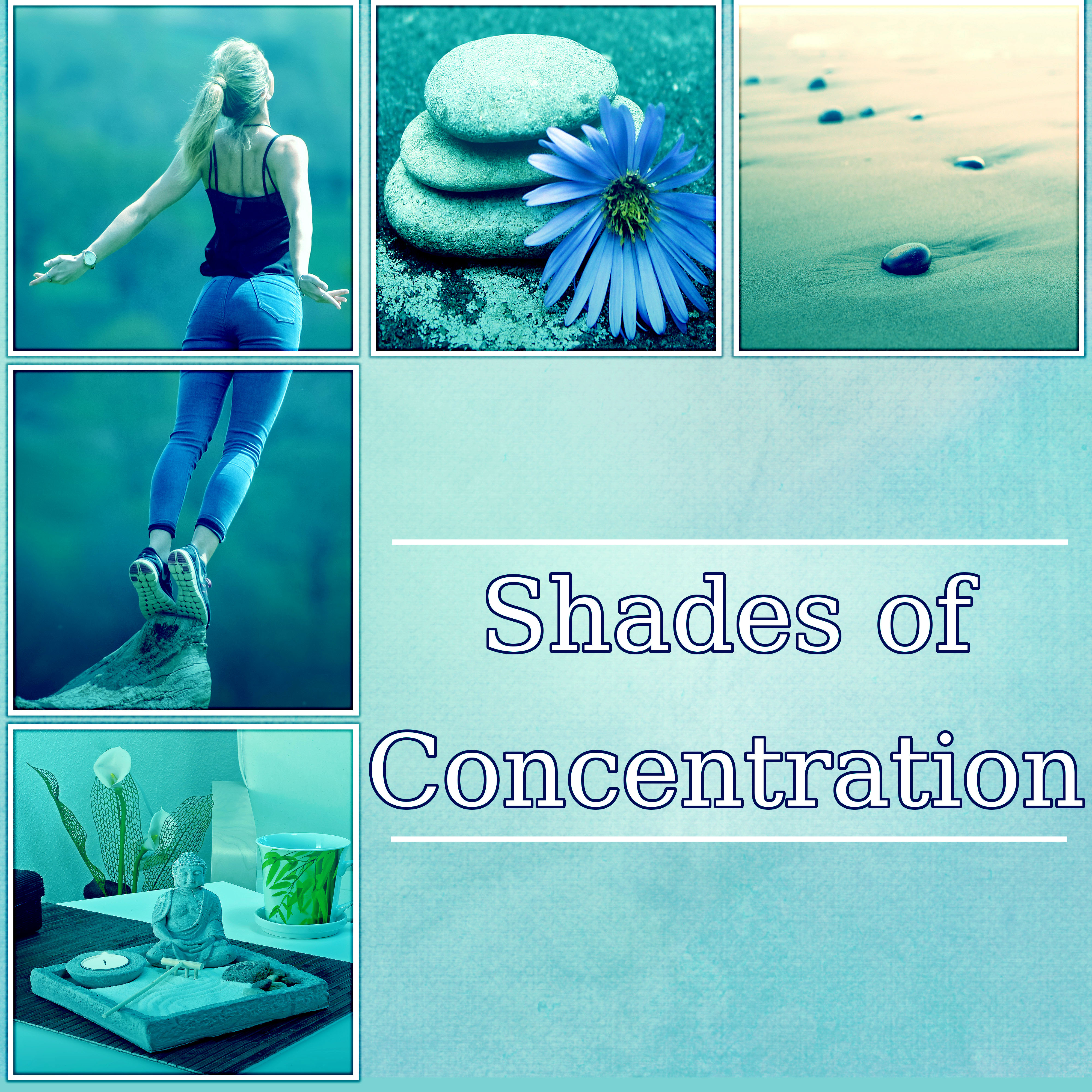 Shades of Concentration - Healing Sounds of Nature, Zen Meditation Relaxation Tracks, Sleep Meditation Training, Yoga