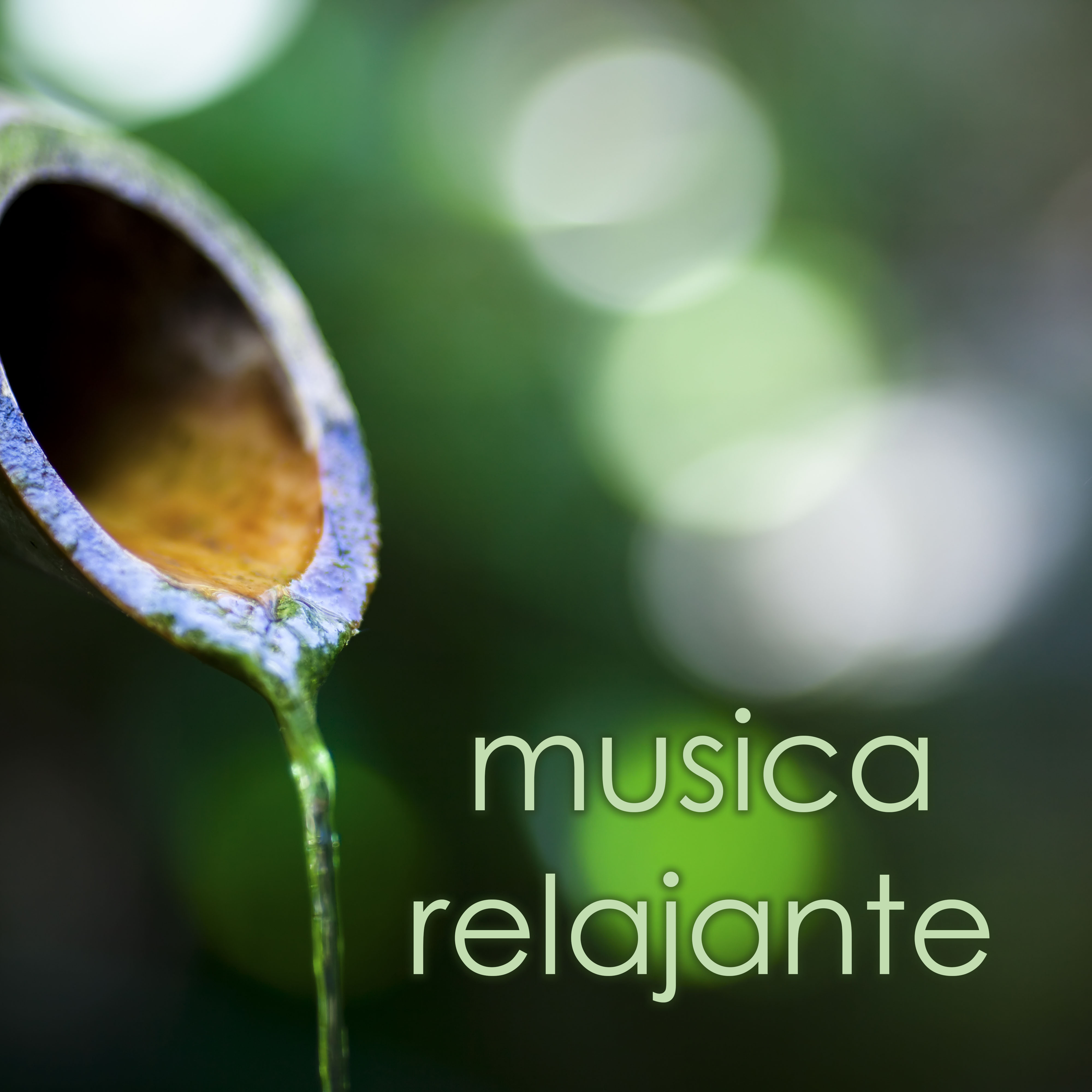 Musica Relajante y Sonidos Naturales para Aliviar el Estres