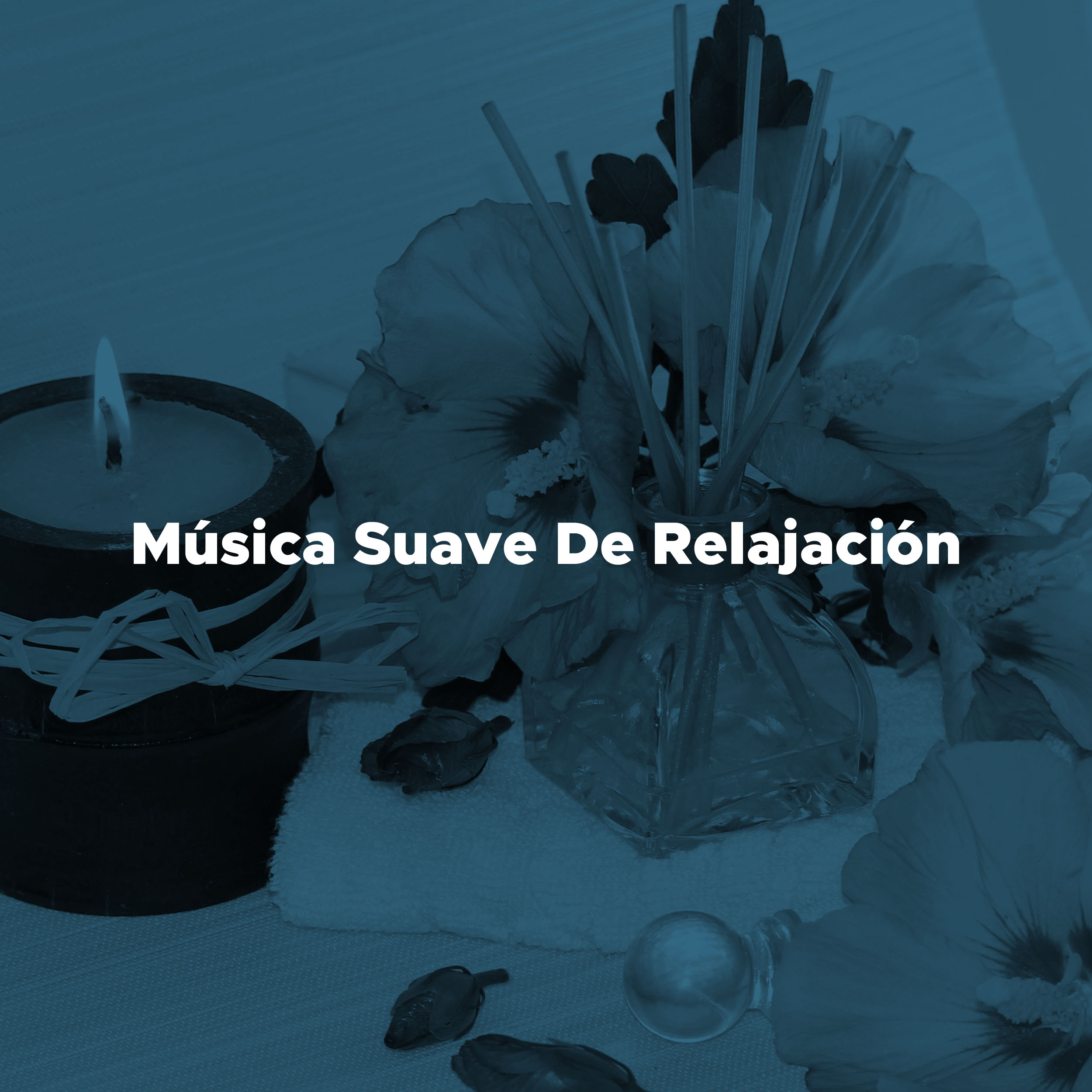 Musica Suave De Relajacion