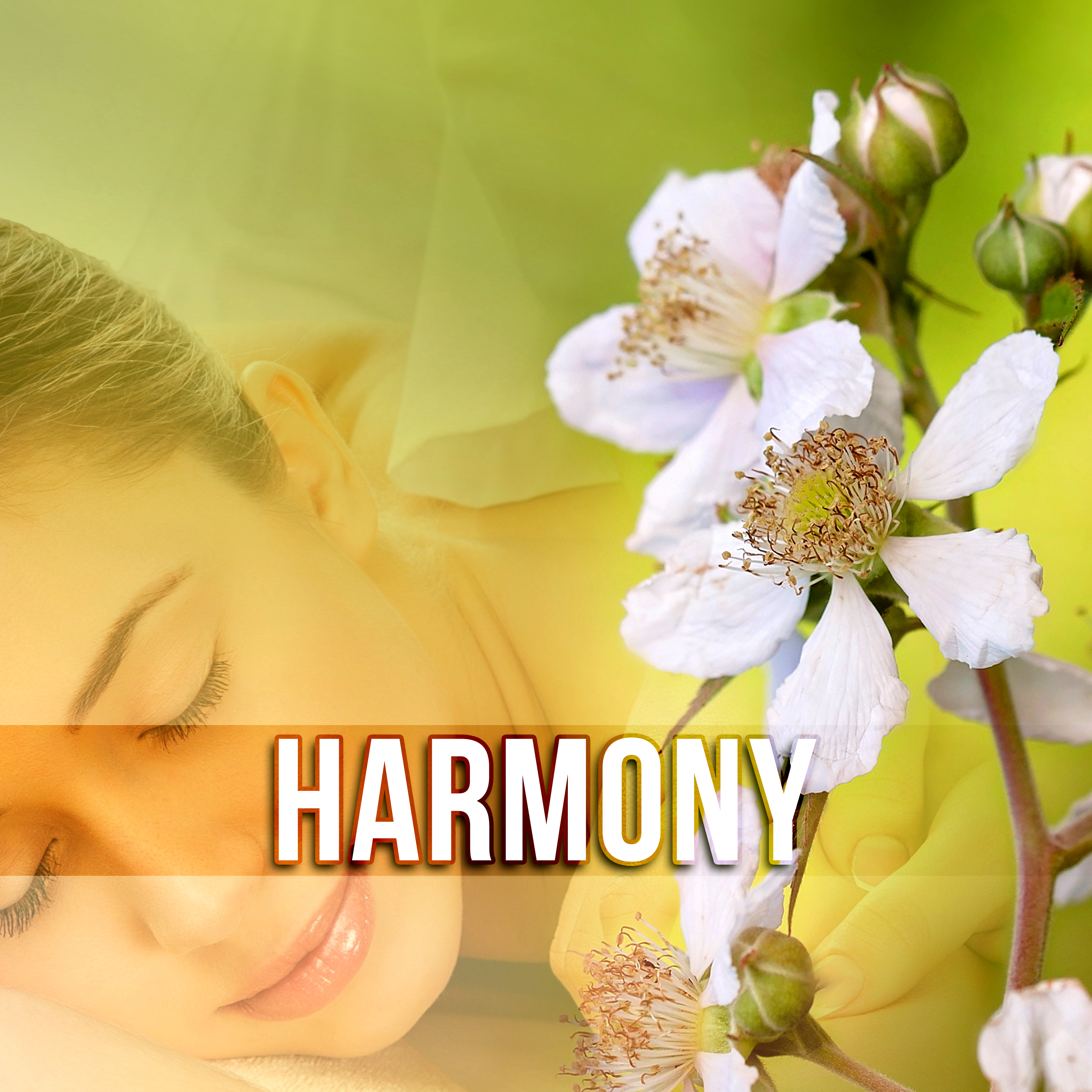 Harmony - Spa & Wellness, Reiki Healing, Yoga, Ayurveda, Calm Background Music for Oil Massage