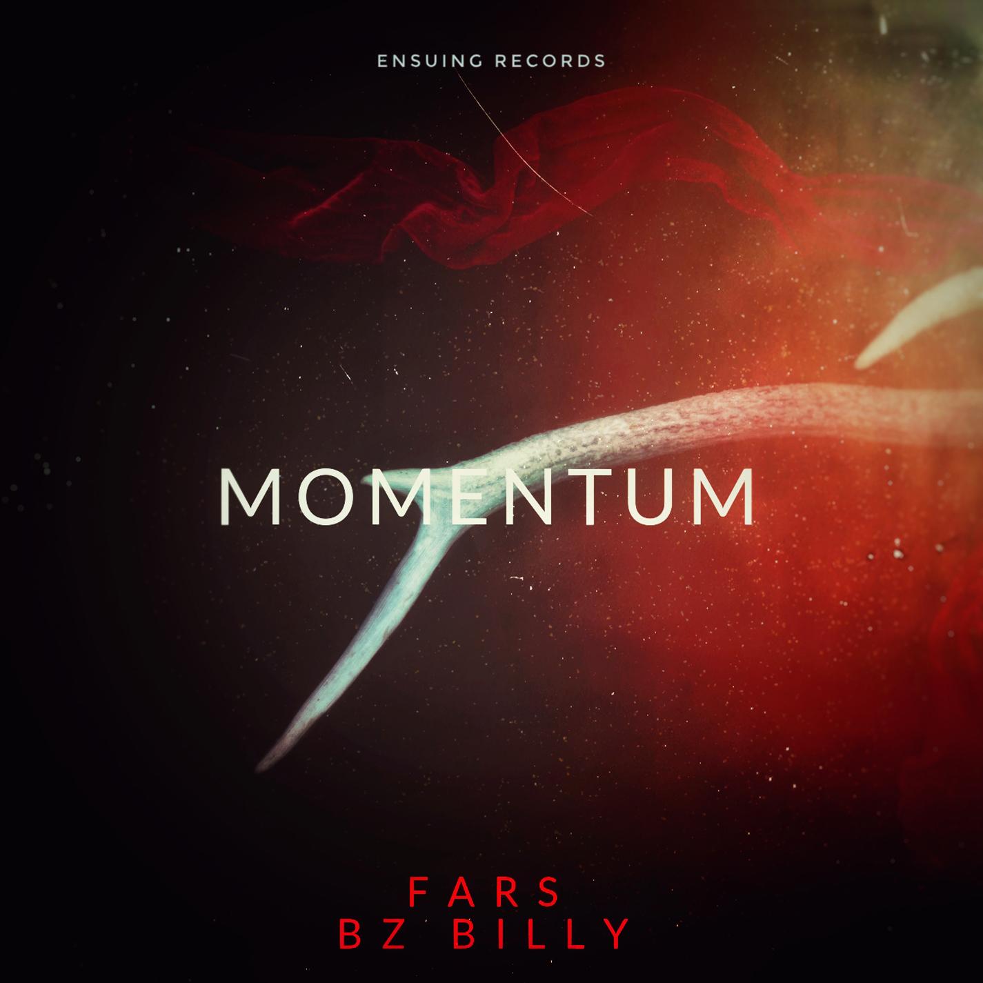 Momentum