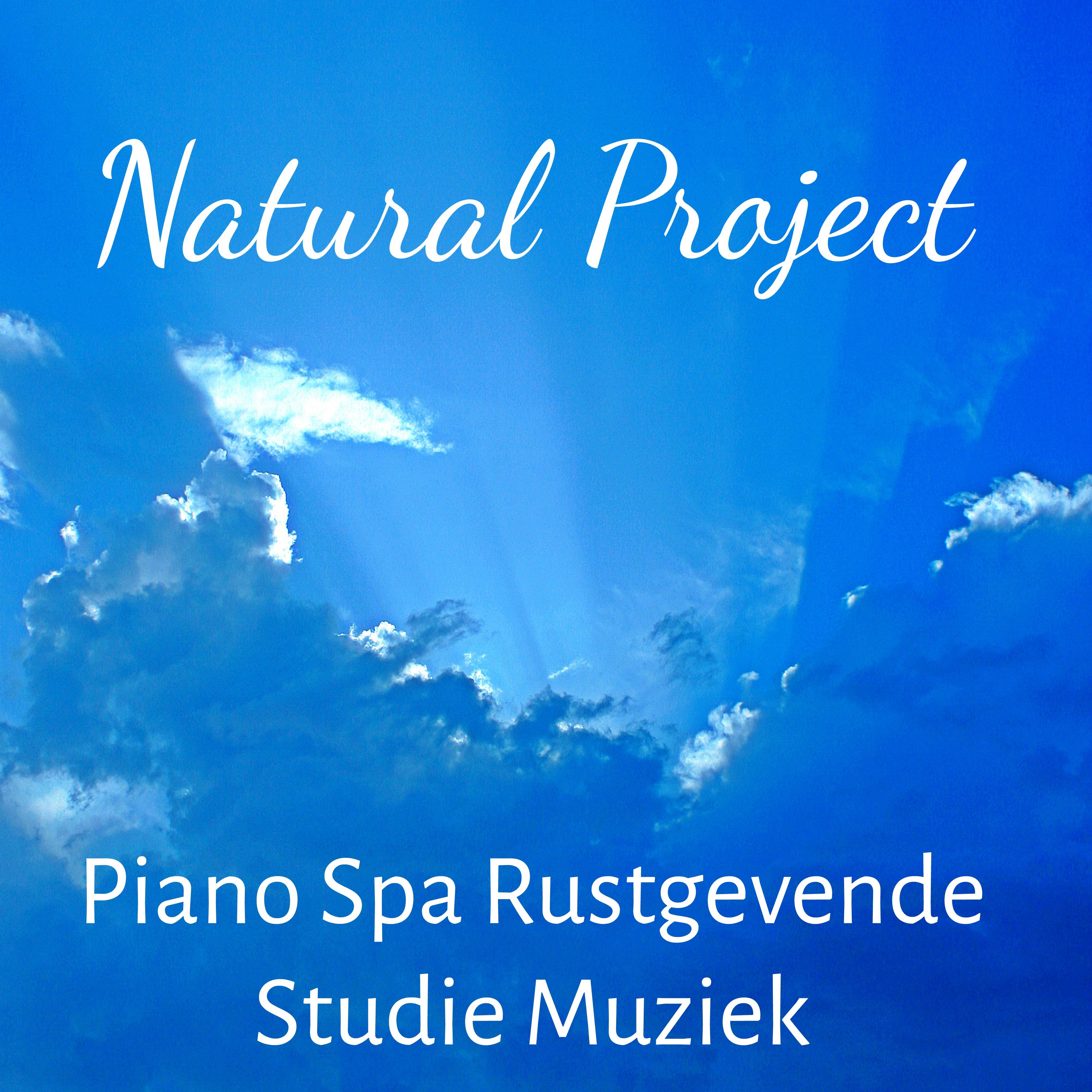 Natural Project - Piano Spa Rustgevende Studie Muziek voor Diepe Slaap Zen Meditatie Yoga Chakra met Natuur Zachte Instrumentale Geluiden