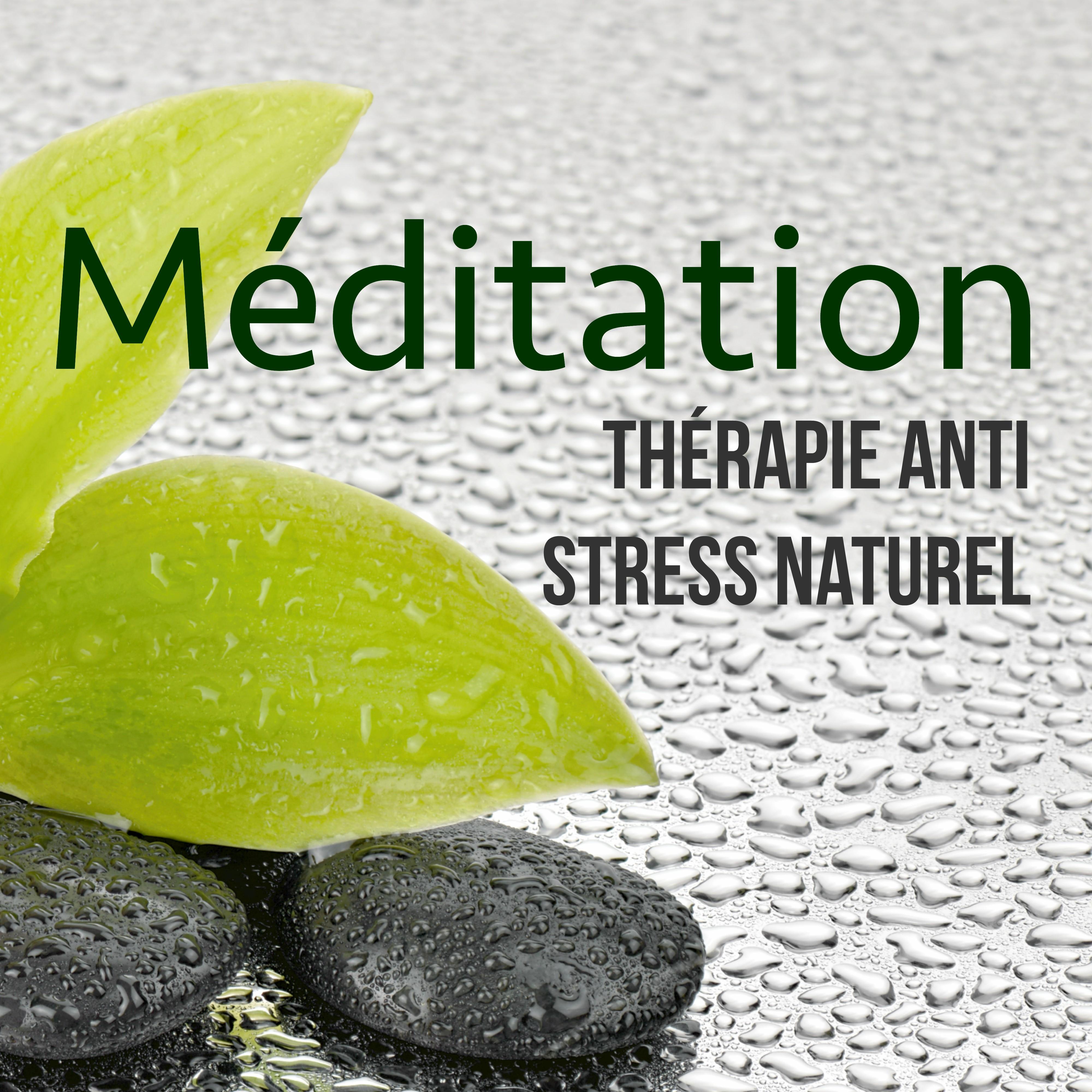 Méditation - Thérapie Anti Stress Naturel: Musique Relaxant pour Méditer et Se Détendre, Musicothérapie et Sophrologie pour Mieux Vivre